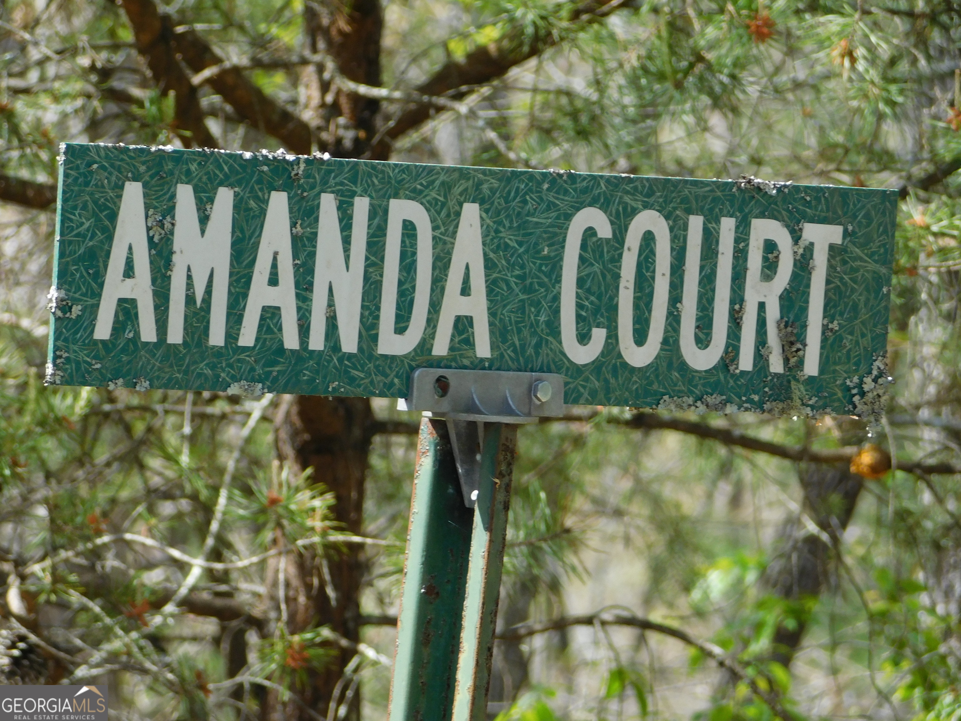 0 Dallas Lane Blue Ridge GA 30513