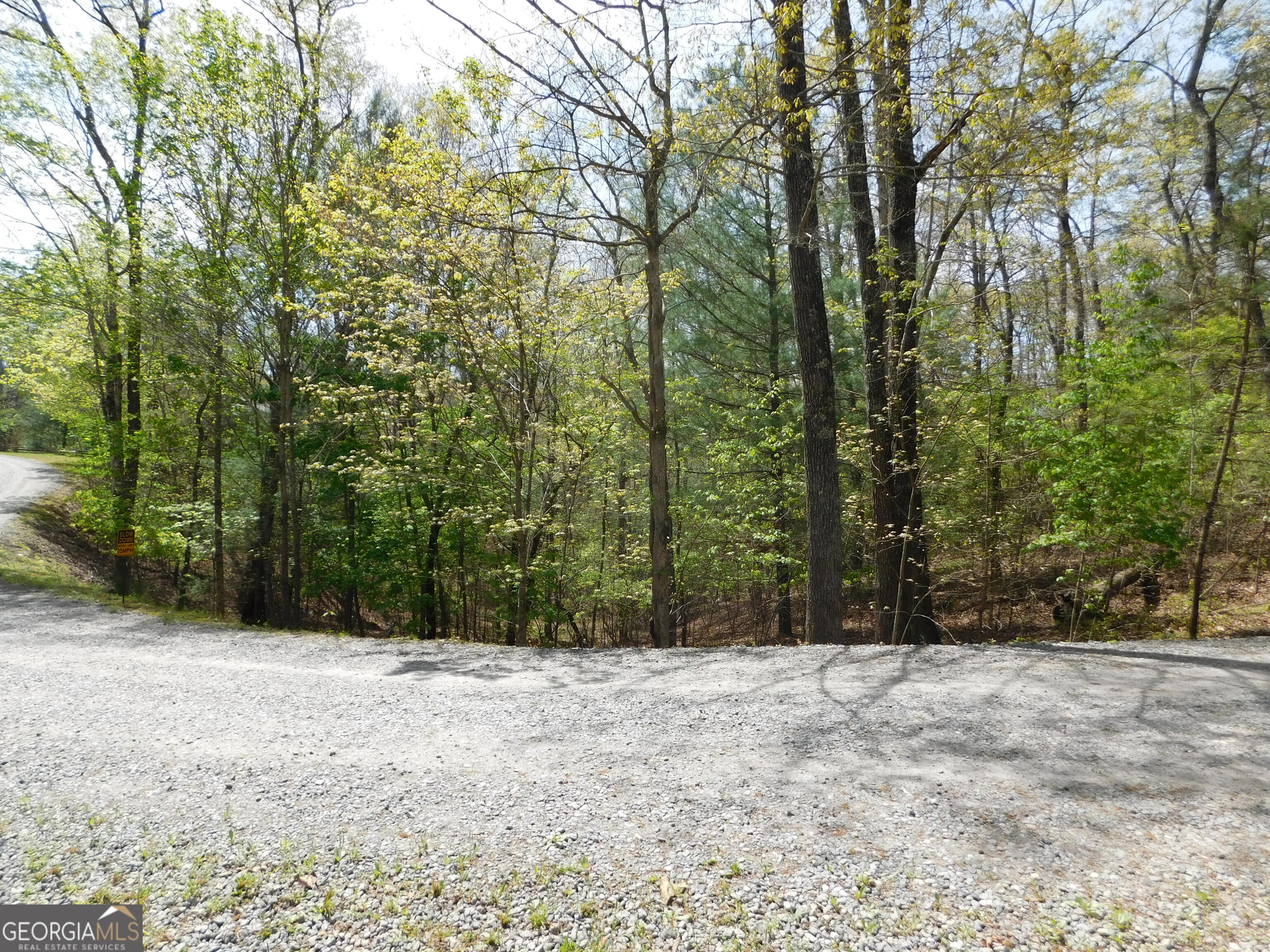 0 Dallas Lane Blue Ridge GA 30513