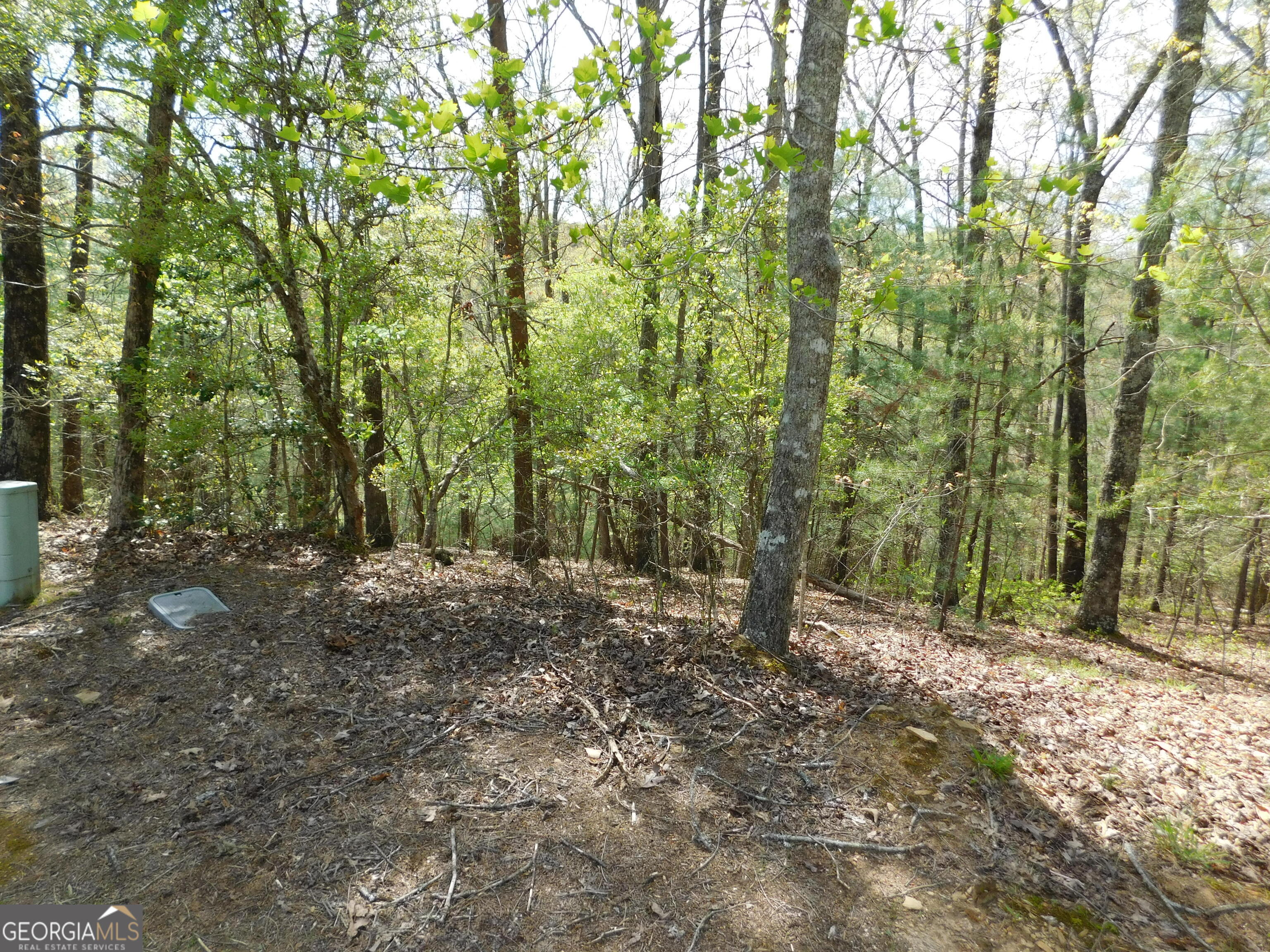 0 Dallas Lane Blue Ridge GA 30513
