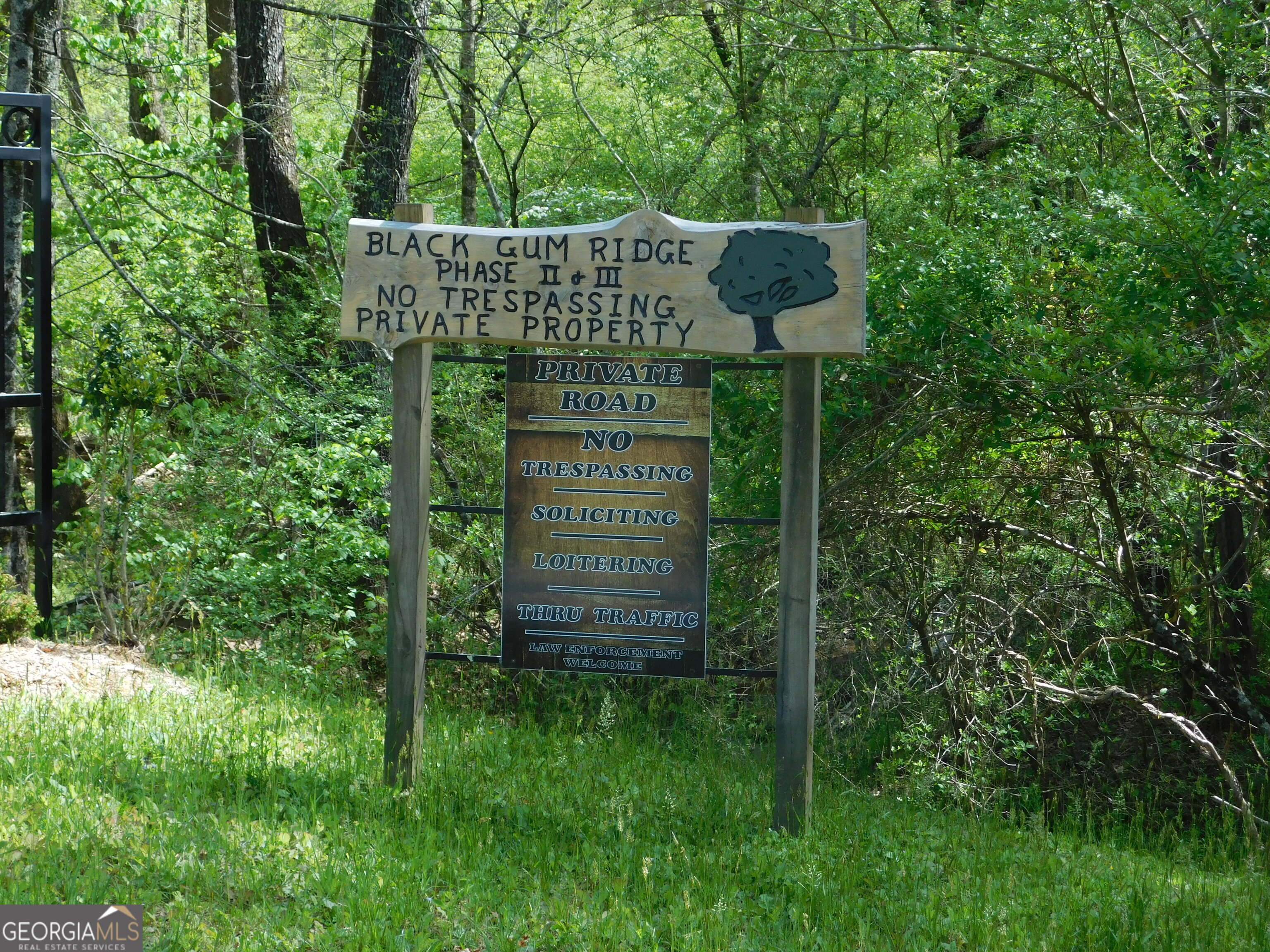 0 Dallas Lane Blue Ridge GA 30513