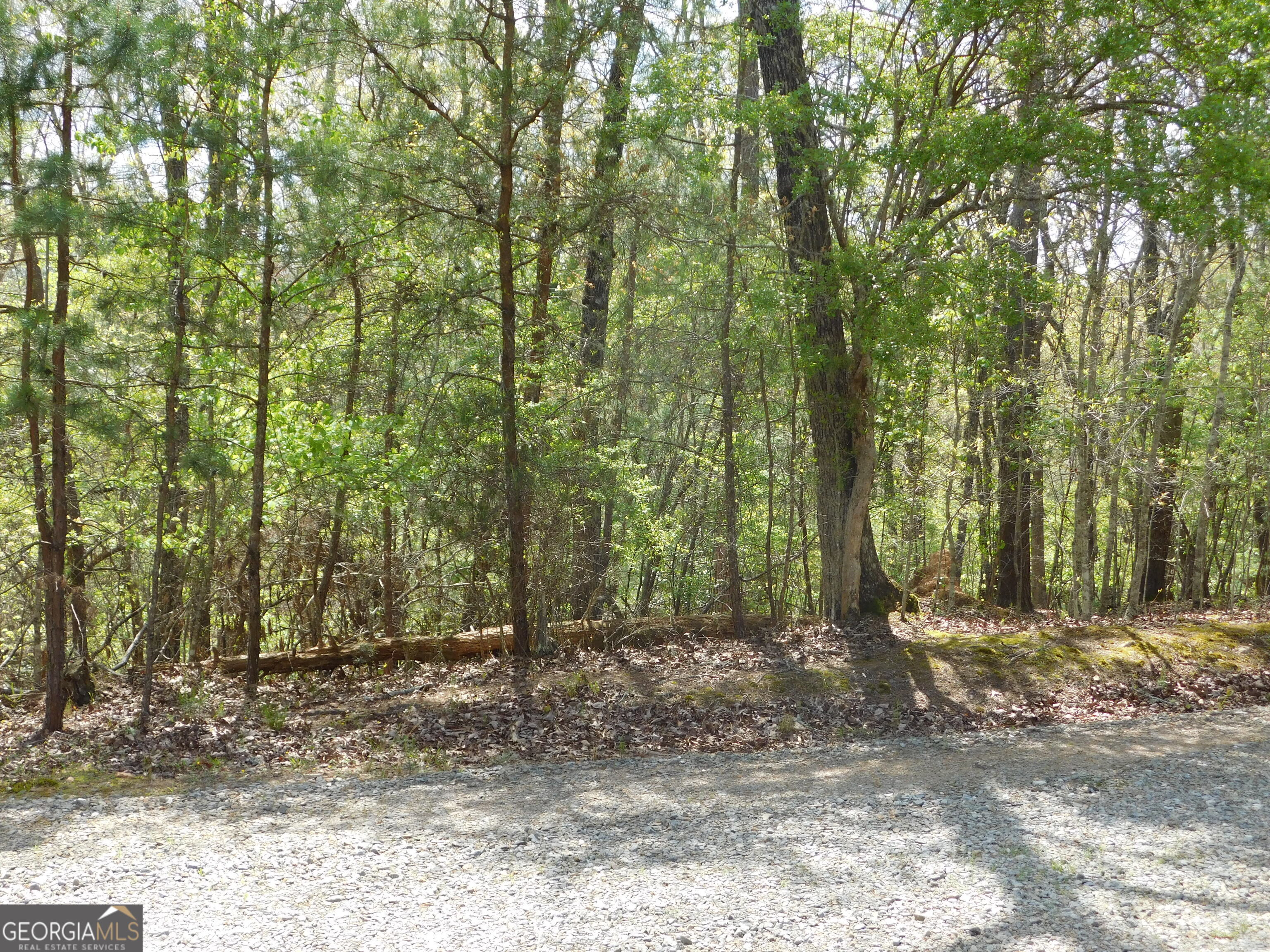 0 Dallas Lane Blue Ridge GA 30513