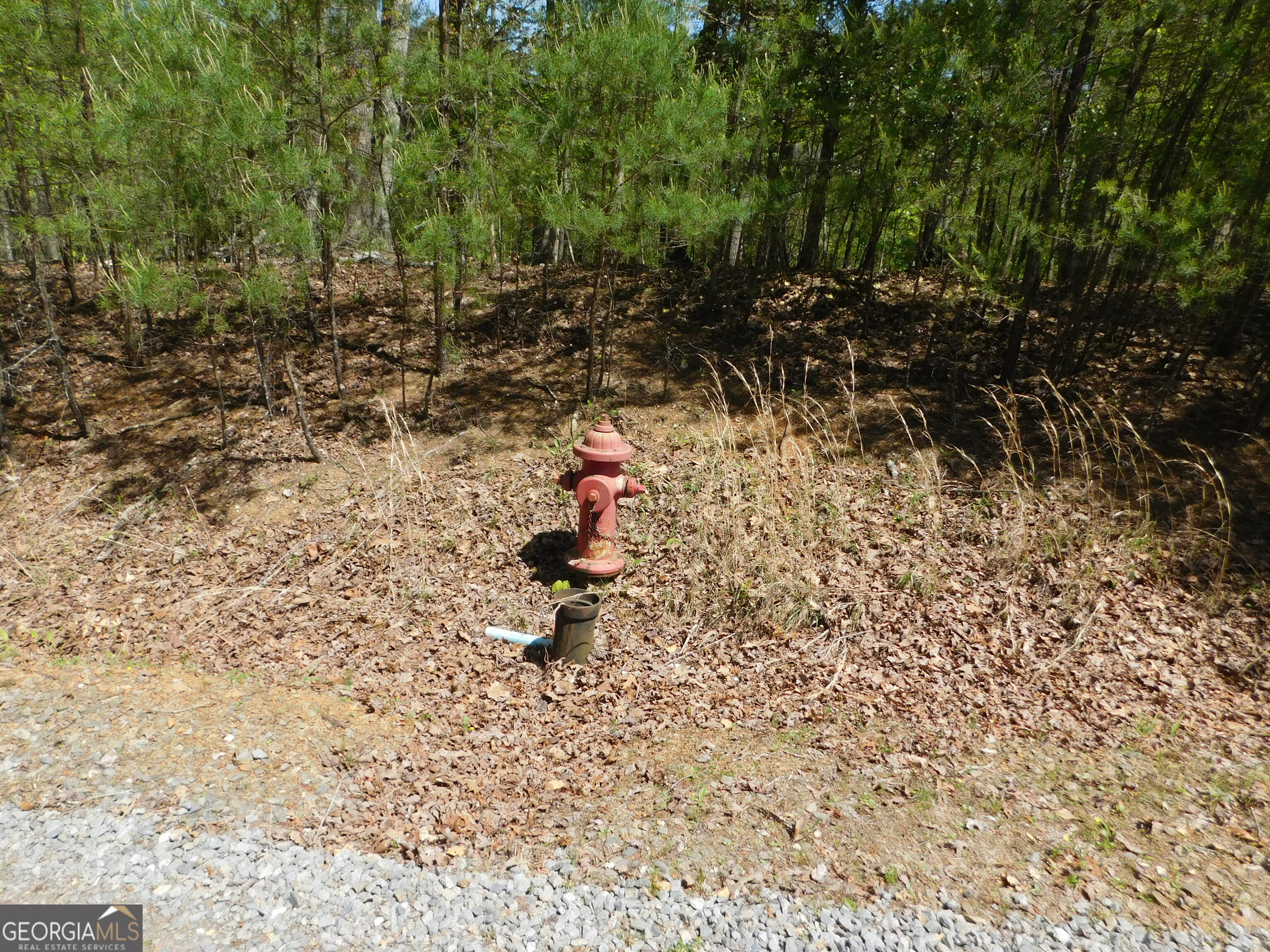 0 Dallas Lane Blue Ridge GA 30513