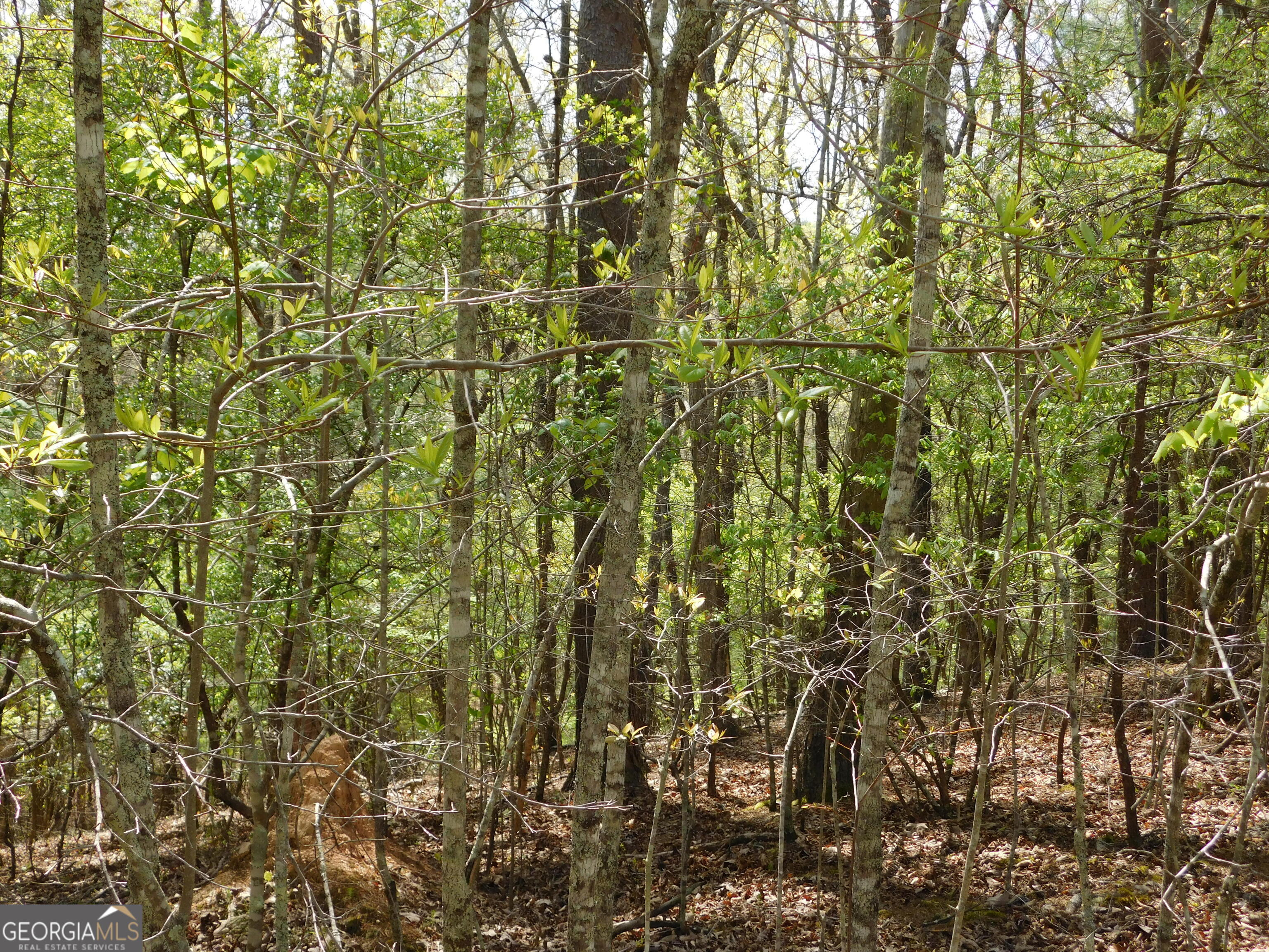 0 Dallas Lane Blue Ridge GA 30513