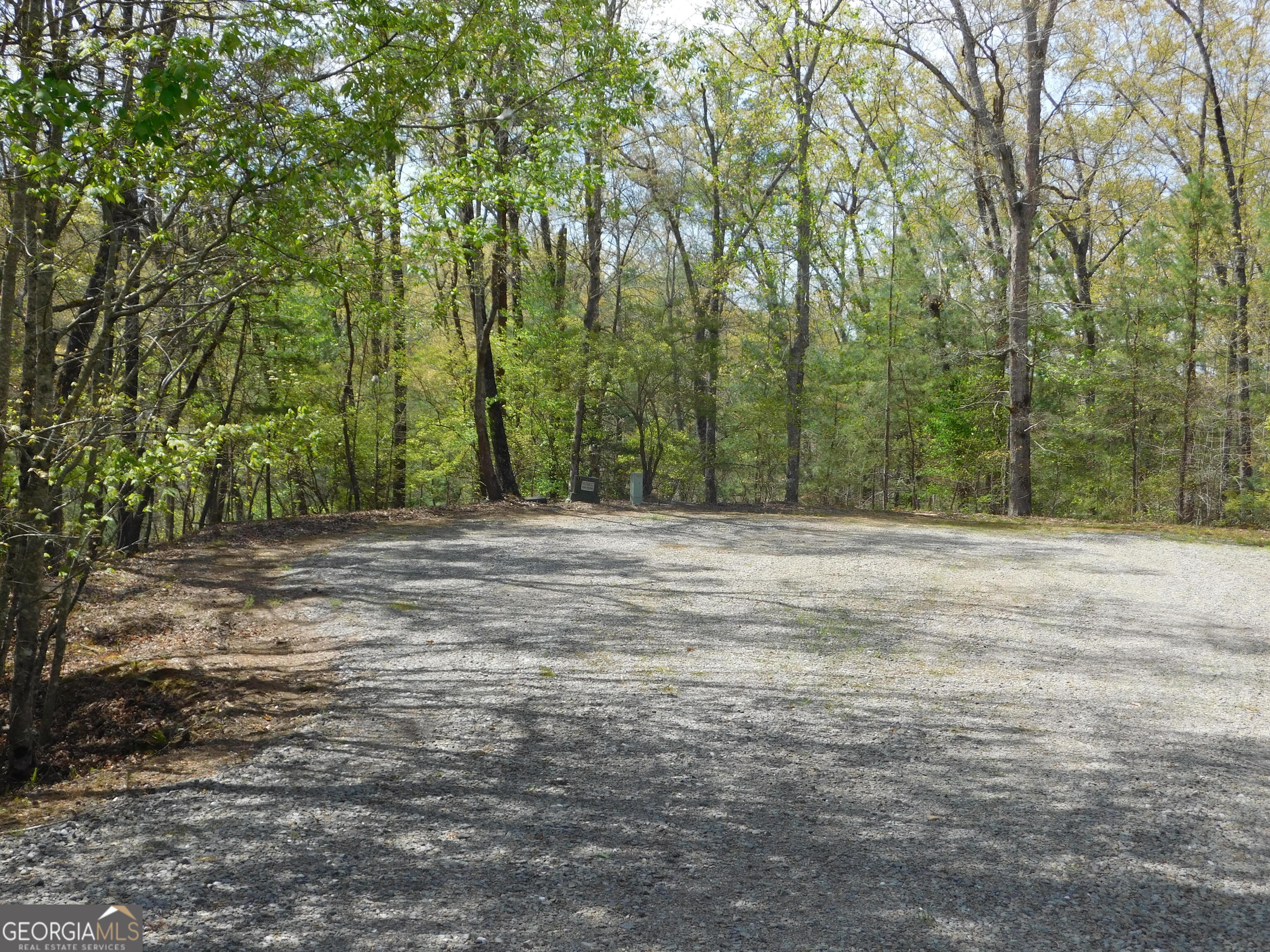 0 Dallas Lane Blue Ridge GA 30513