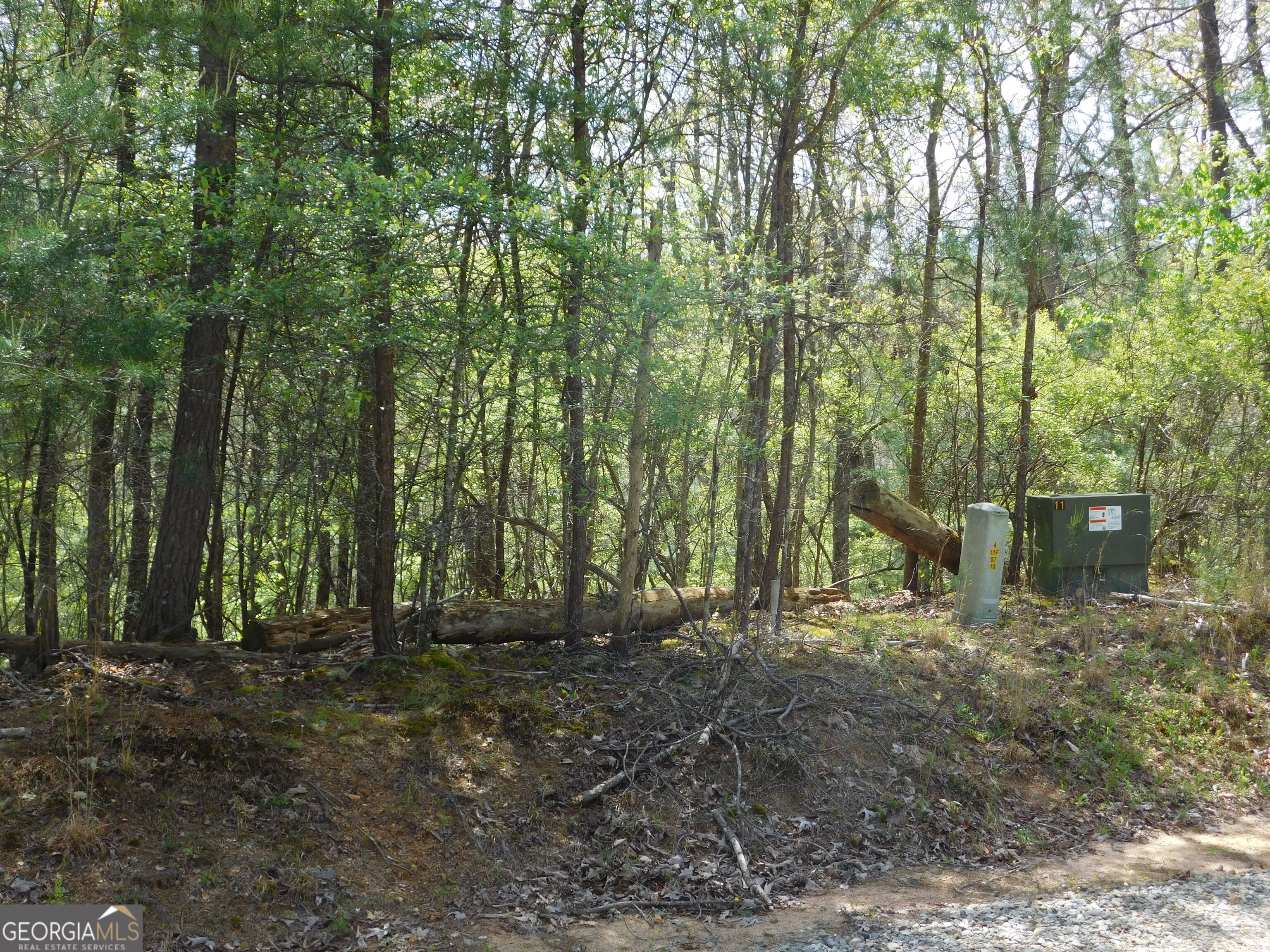0 Dallas Lane Blue Ridge GA 30513