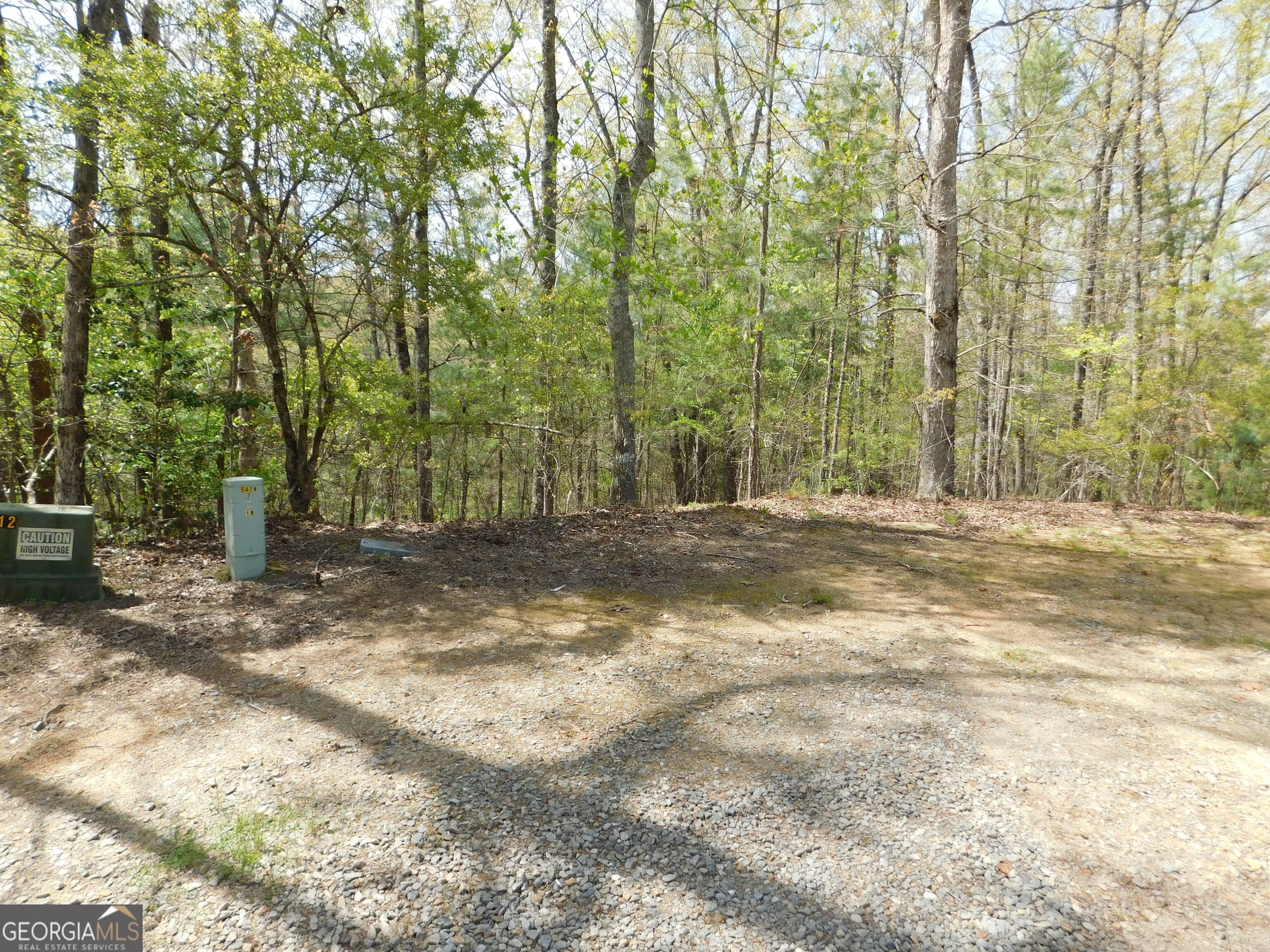 0 Dallas Lane Blue Ridge GA 30513