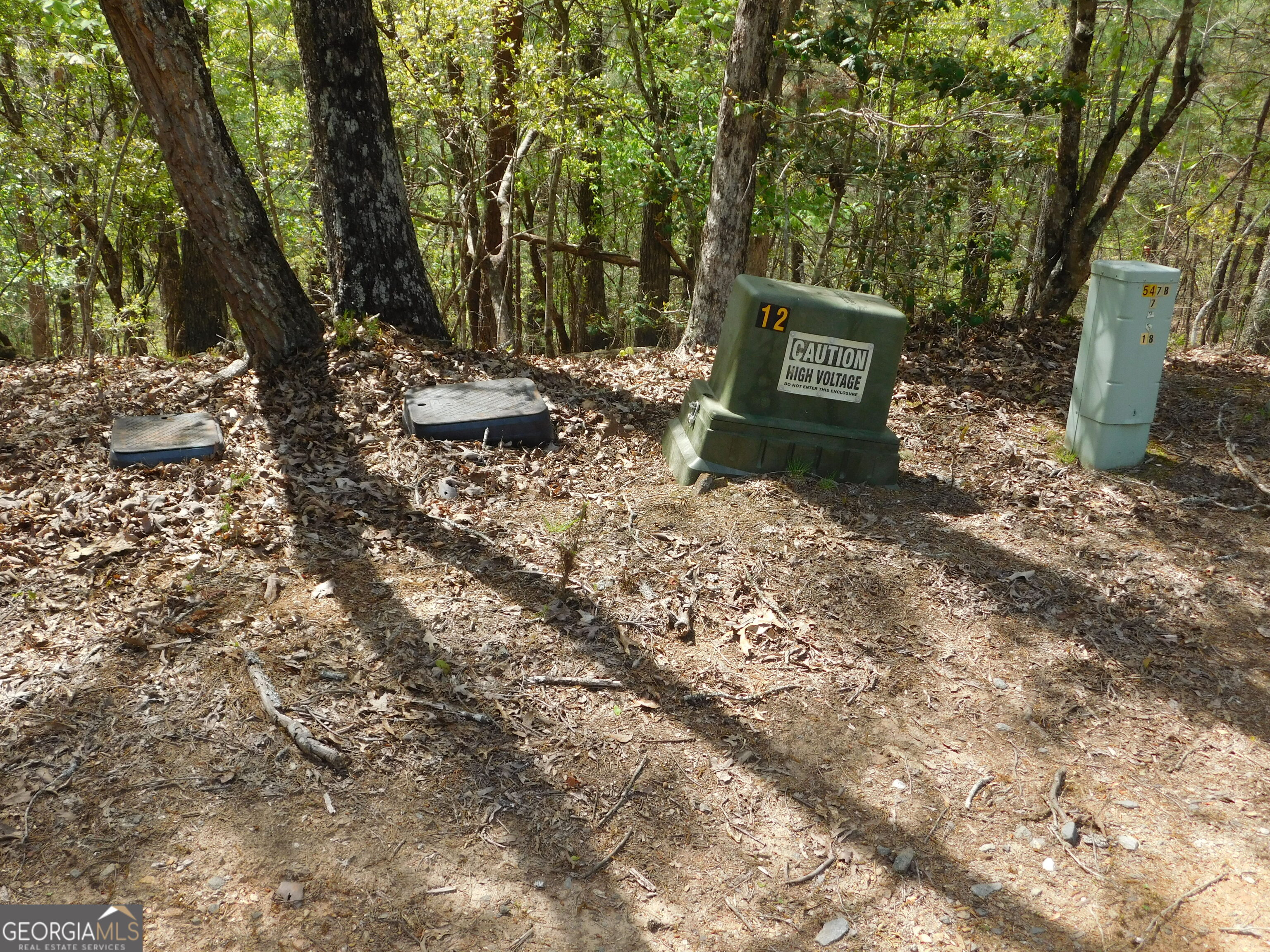 0 Dallas Lane Blue Ridge GA 30513