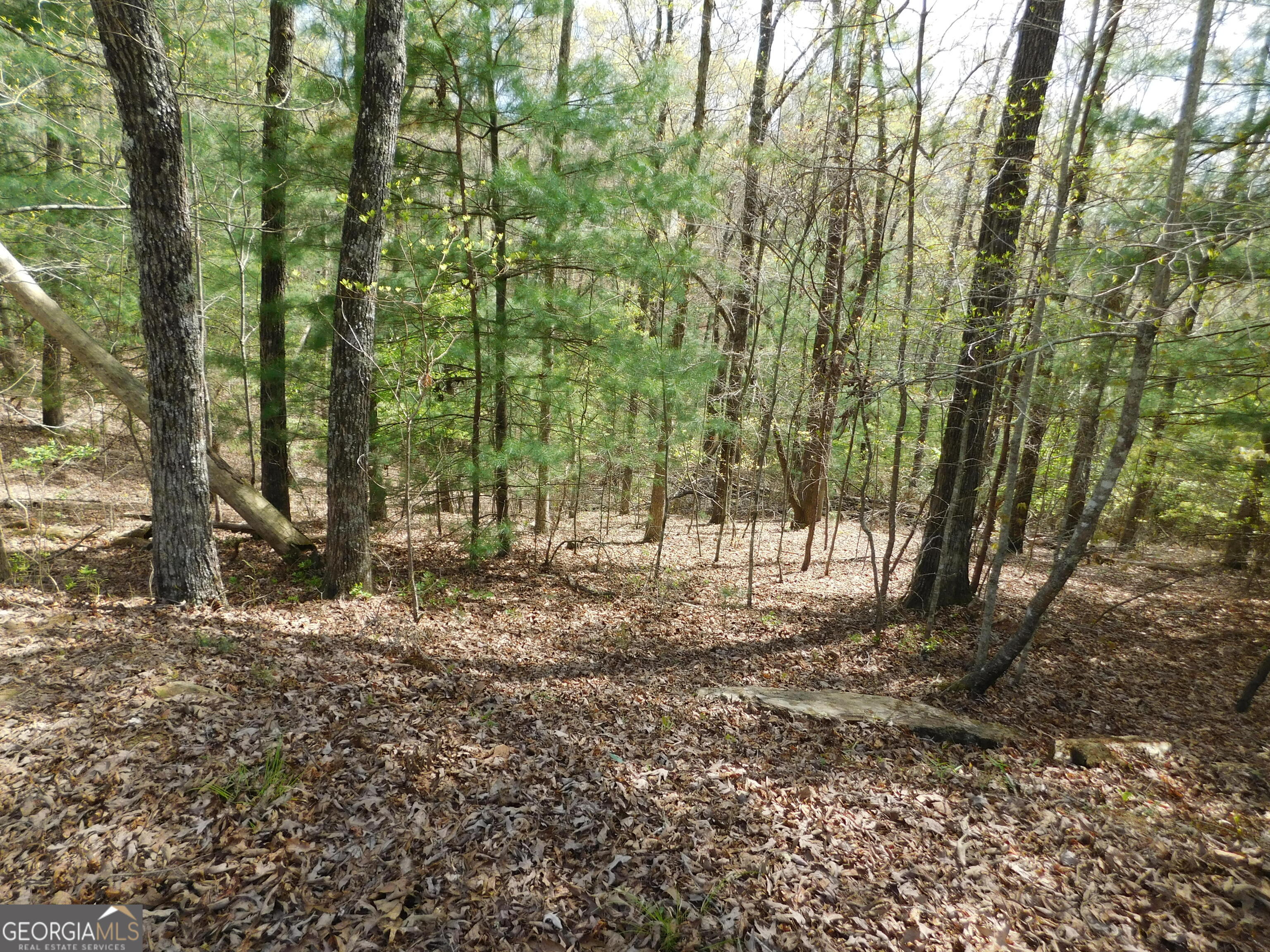 0 Dallas Lane Blue Ridge GA 30513