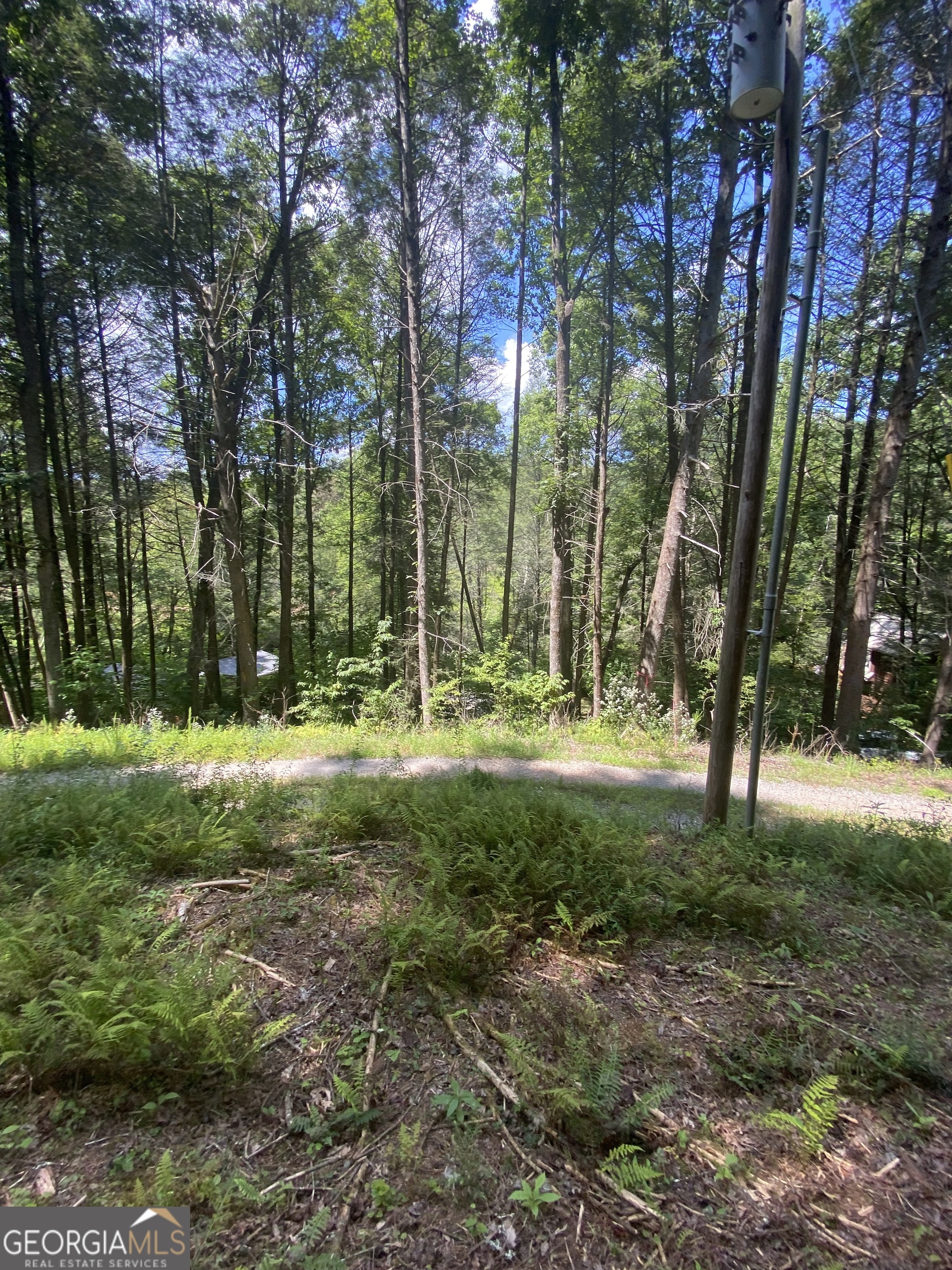 Hemlock Hemlock Trail Blue Ridge GA 30513