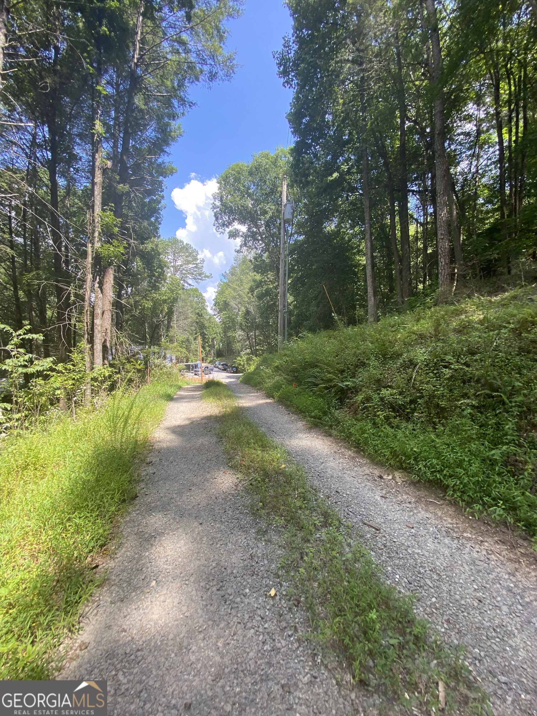 Hemlock Hemlock Trail Blue Ridge GA 30513