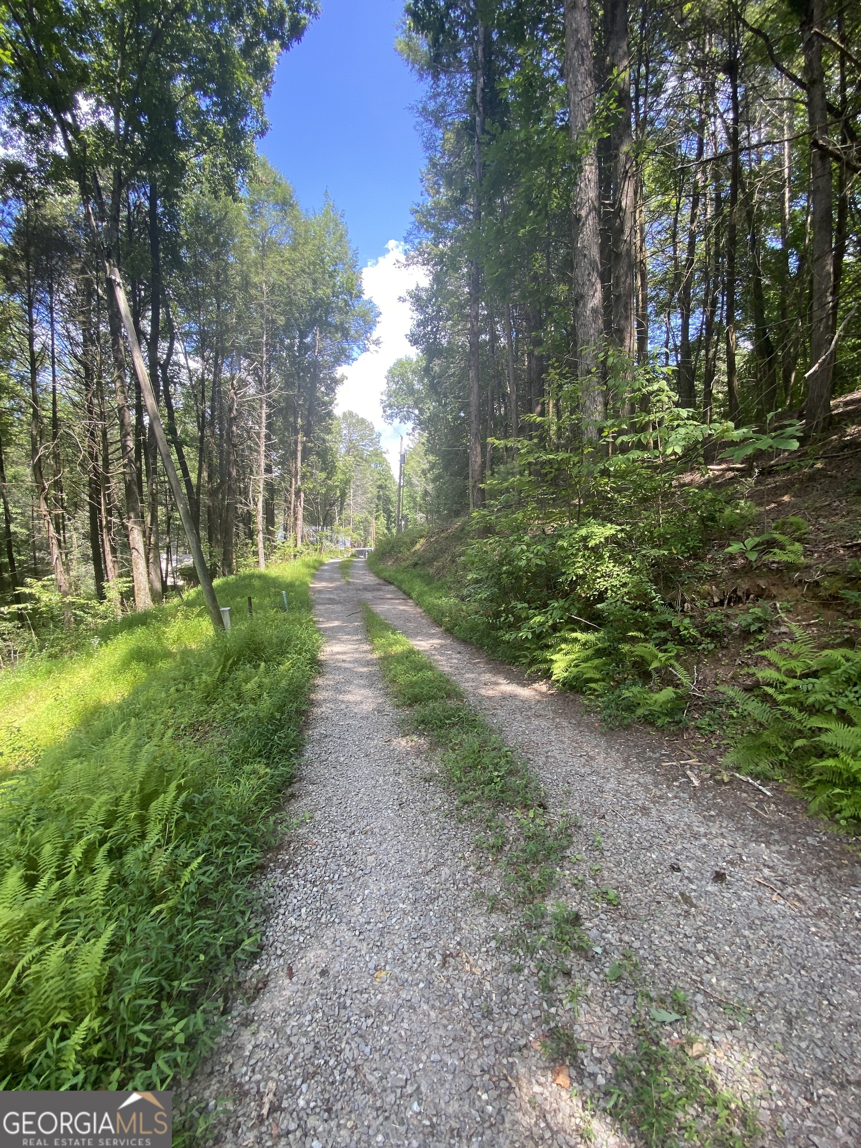 Hemlock Hemlock Trail Blue Ridge GA 30513