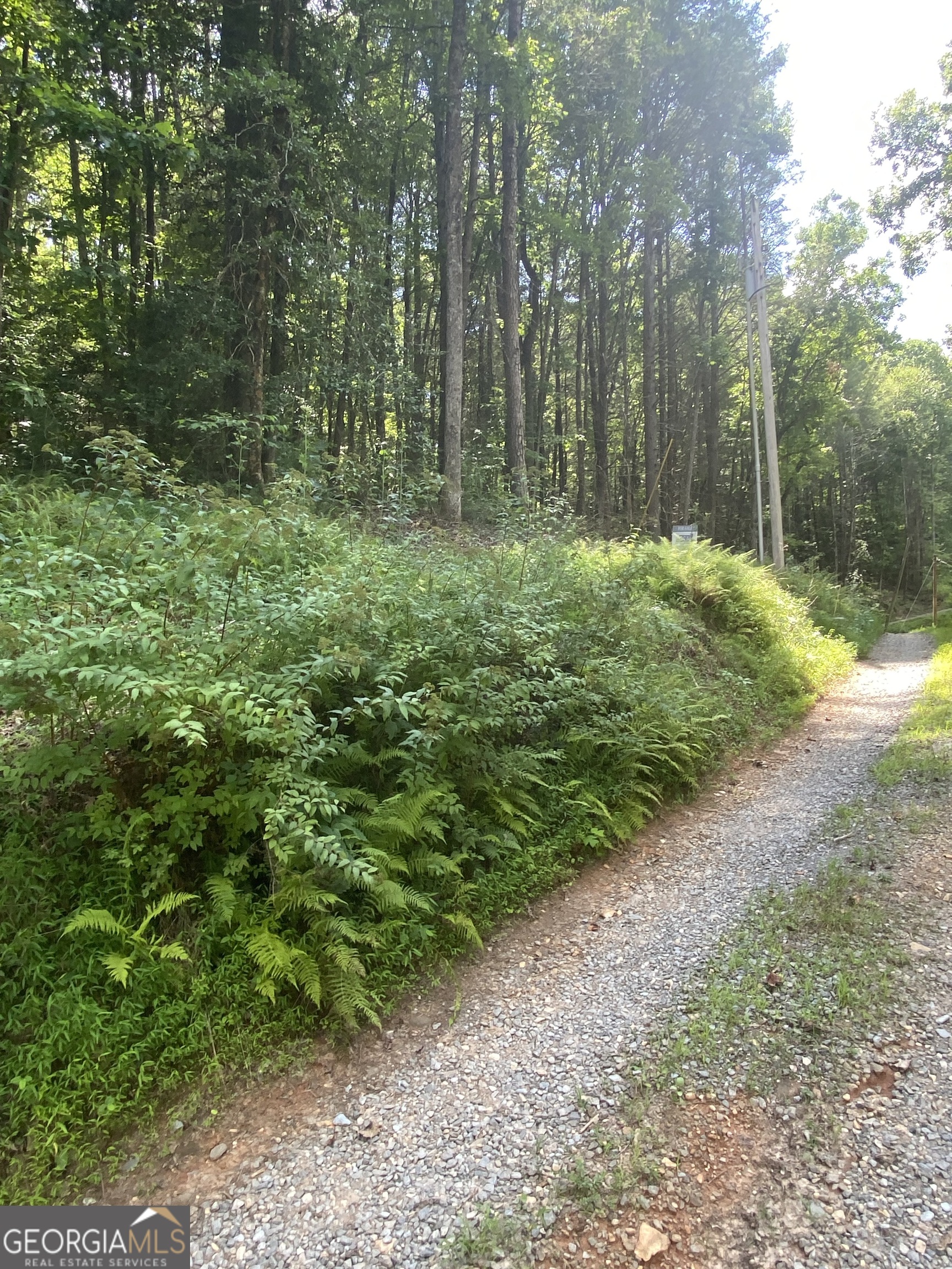 Hemlock Hemlock Trail Blue Ridge GA 30513