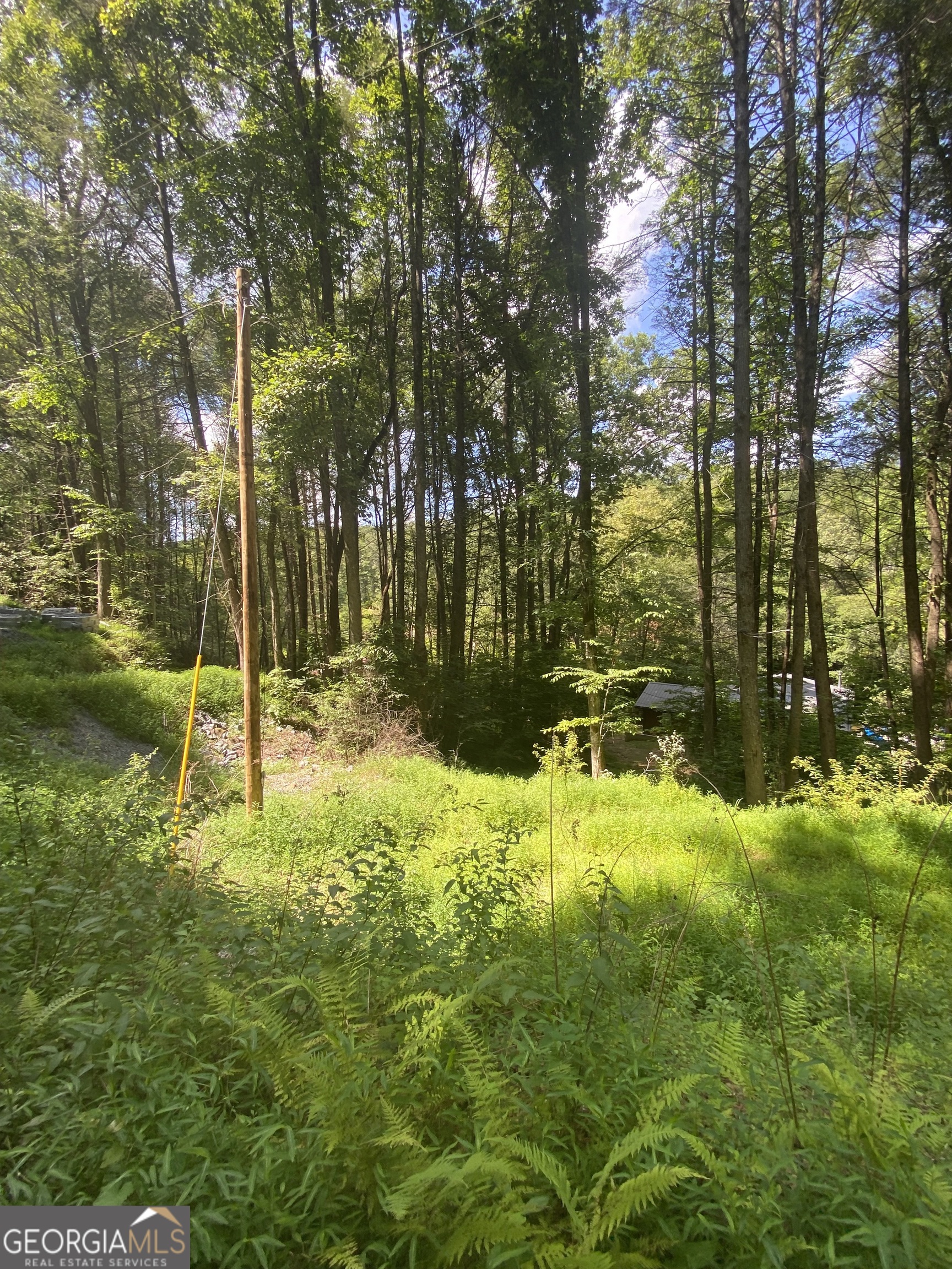 Hemlock Hemlock Trail Blue Ridge GA 30513