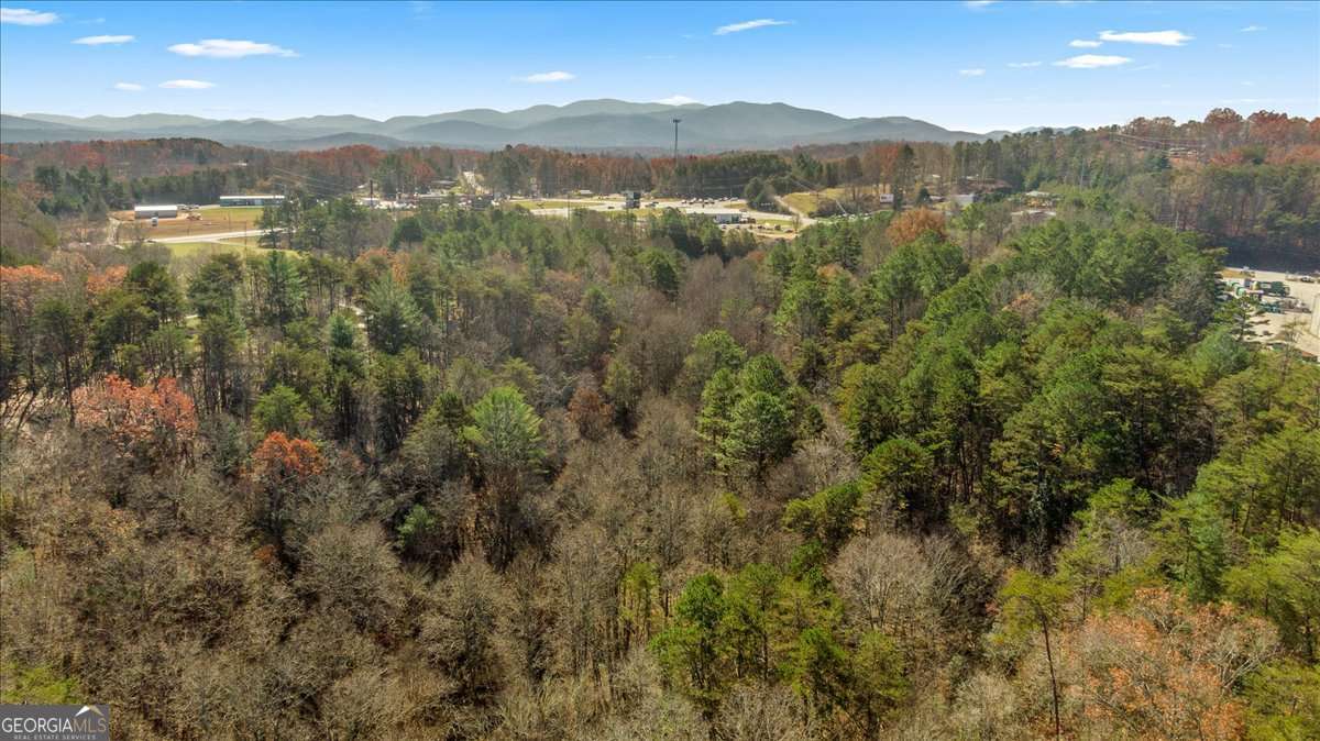 9.44 Acres Lakewood Highway Mineral Bluff GA 30559