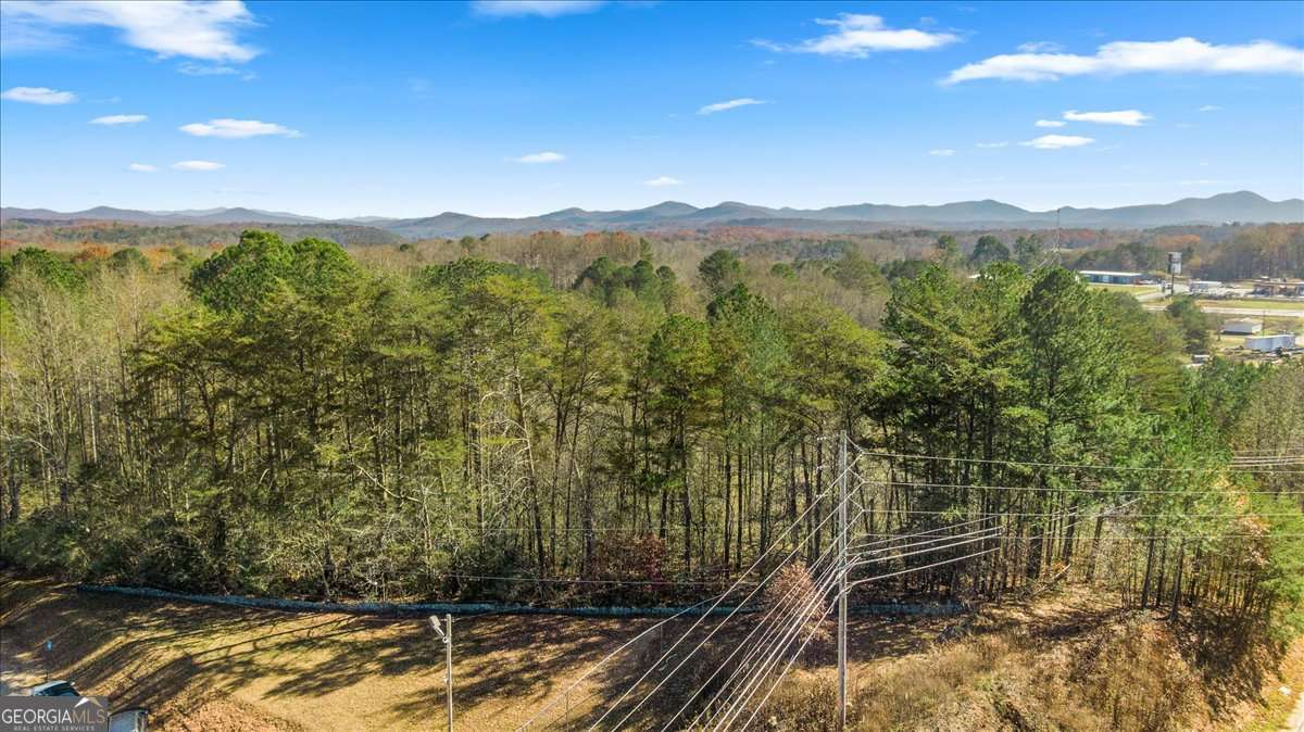 9.44 Acres Lakewood Highway Mineral Bluff GA 30559