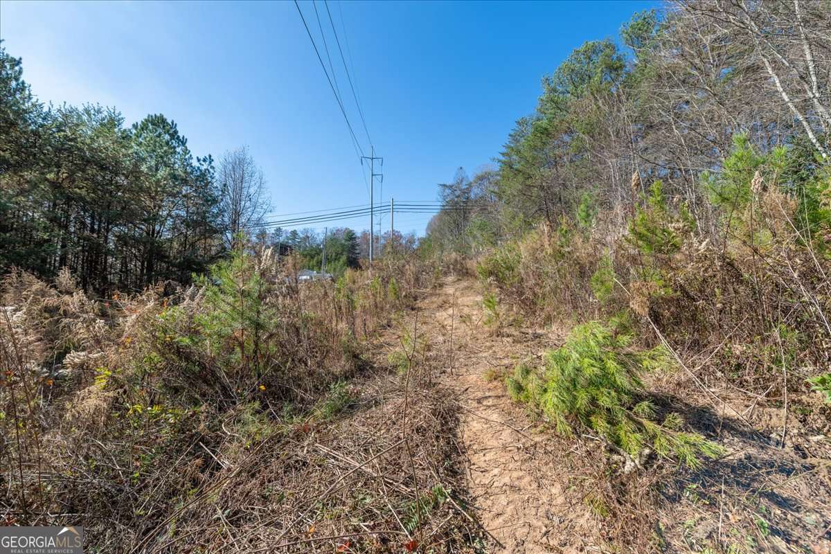 9.44 Acres Lakewood Highway Mineral Bluff GA 30559