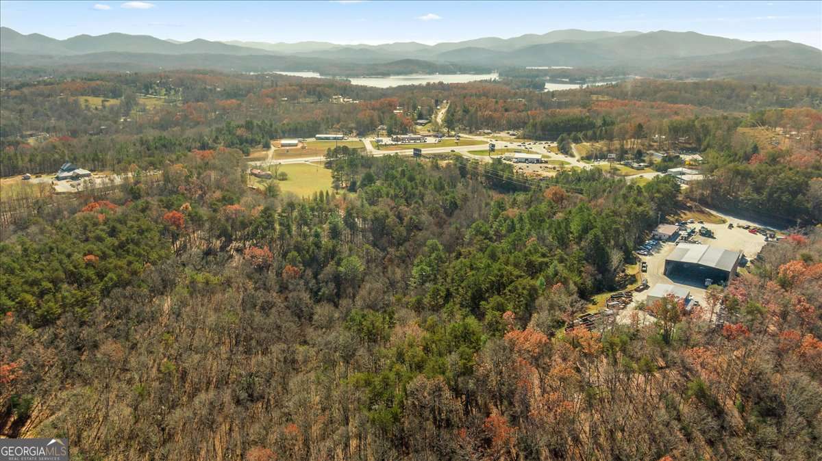 9.44 Acres Lakewood Highway Mineral Bluff GA 30559