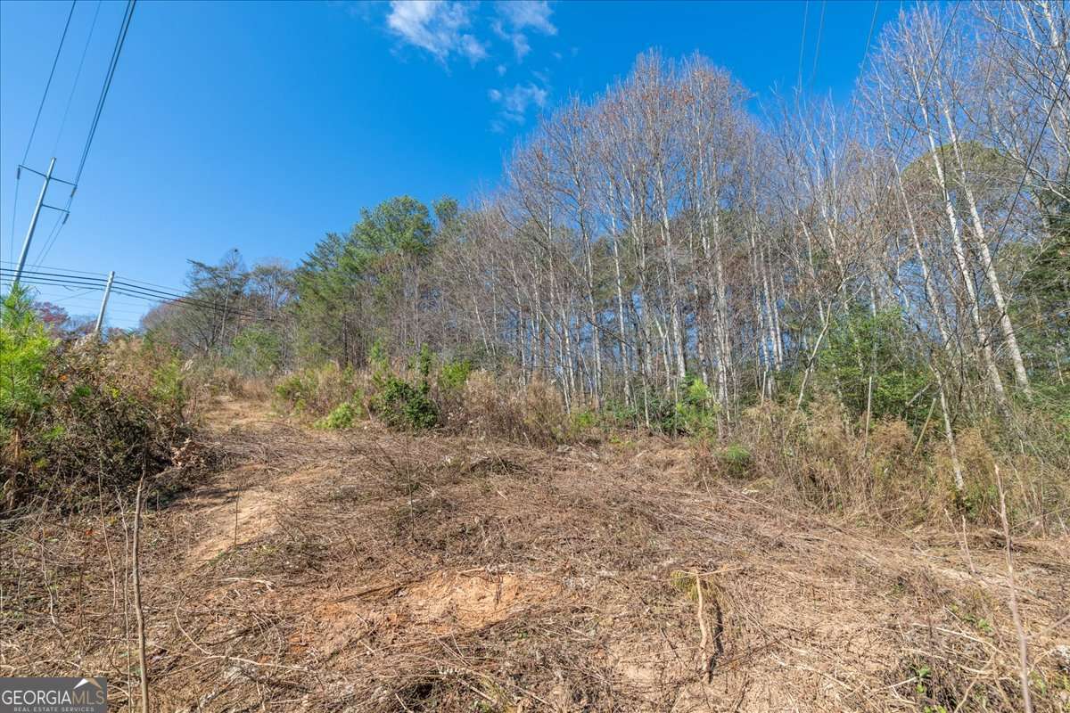 9.44 Acres Lakewood Highway Mineral Bluff GA 30559