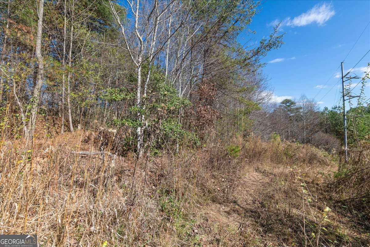 9.44 Acres Lakewood Highway Mineral Bluff GA 30559