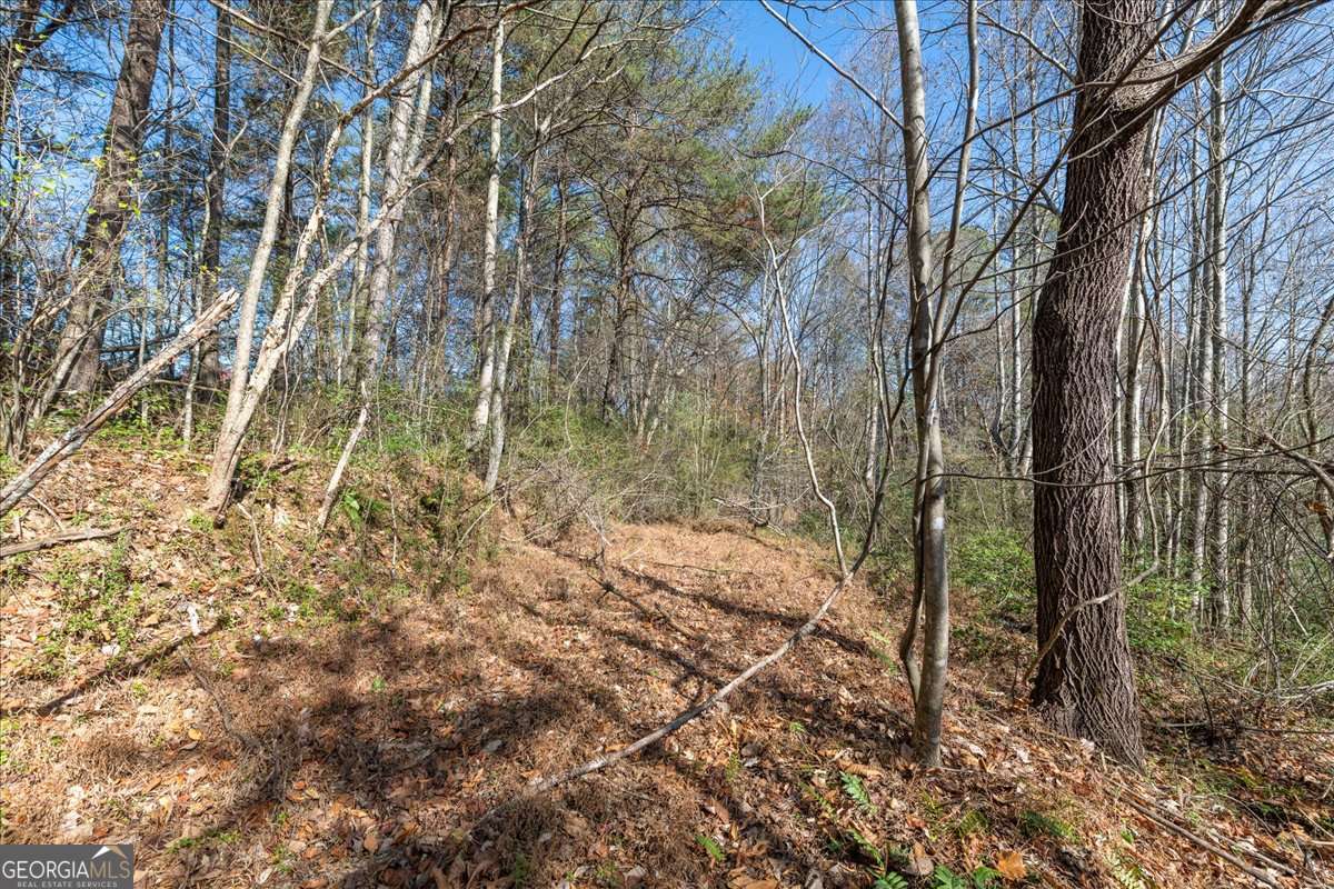 9.44 Acres Lakewood Highway Mineral Bluff GA 30559
