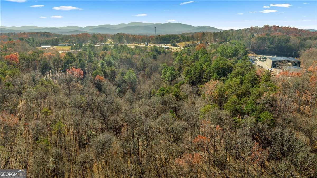 9.44 Acres Lakewood Highway Mineral Bluff GA 30559
