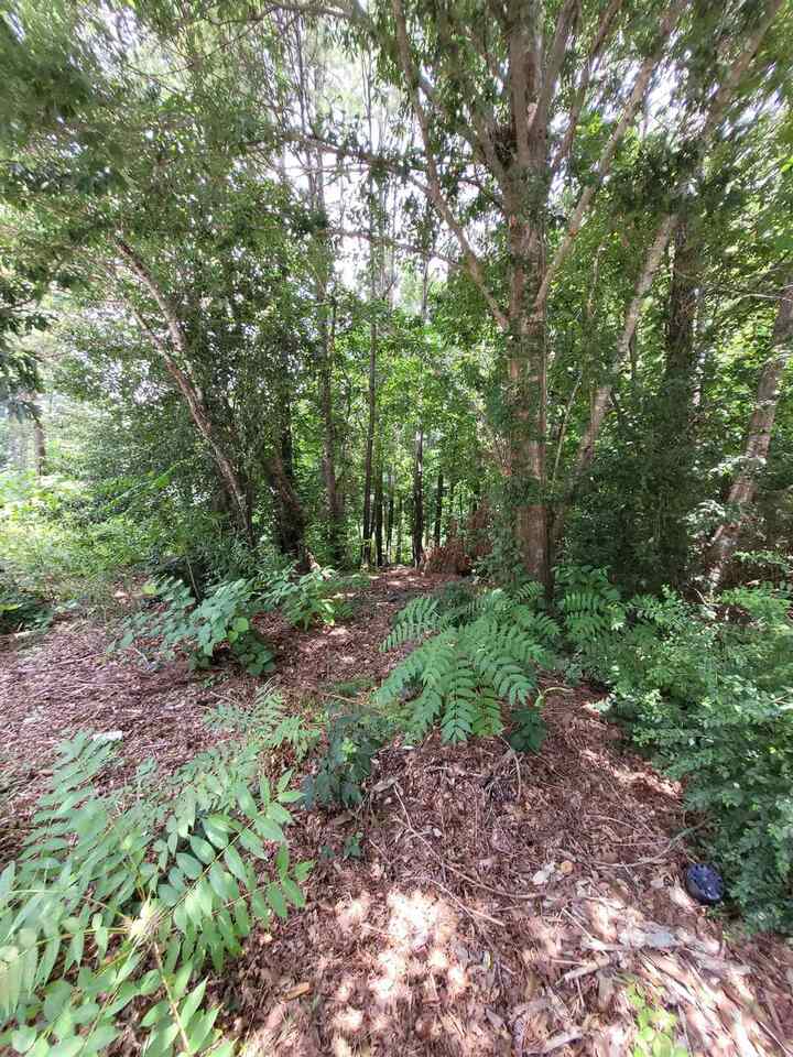 1077 Crooked Creek Road Lithonia GA 30058