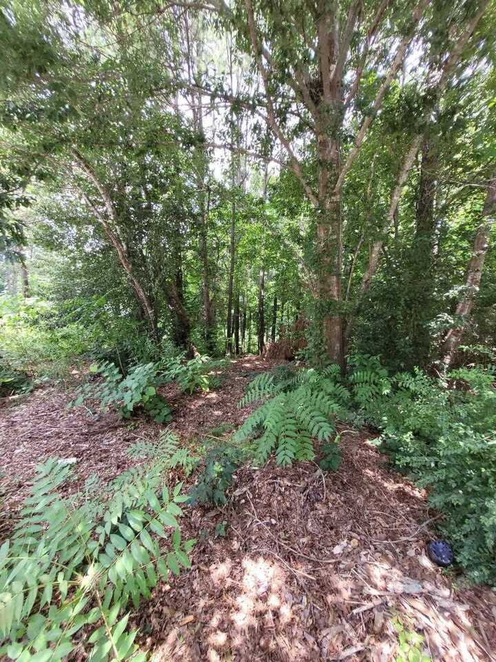 1077 Crooked Creek Road Lithonia GA 30058