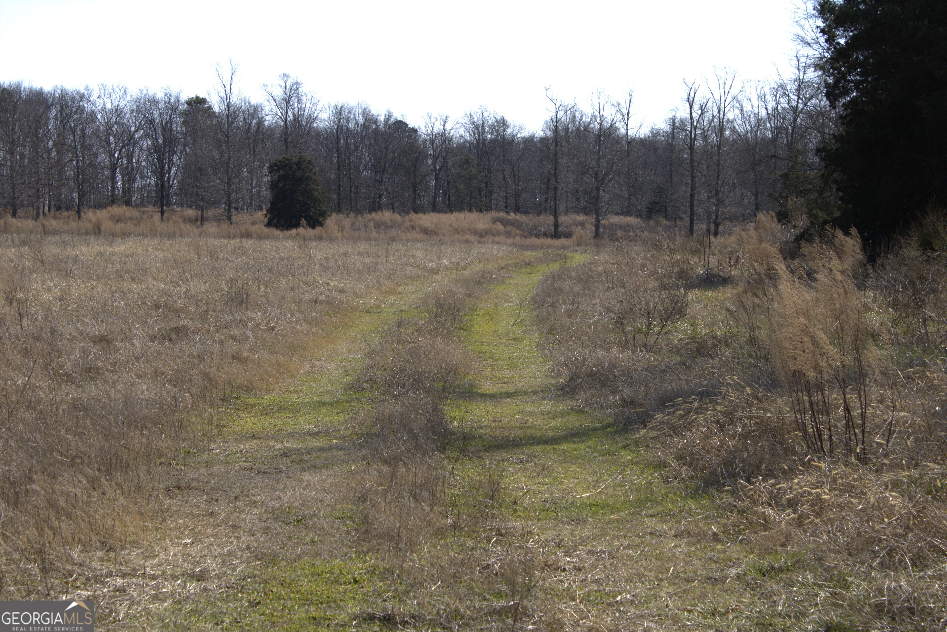 0 Nancy Hart School Road Hartwell GA 30643