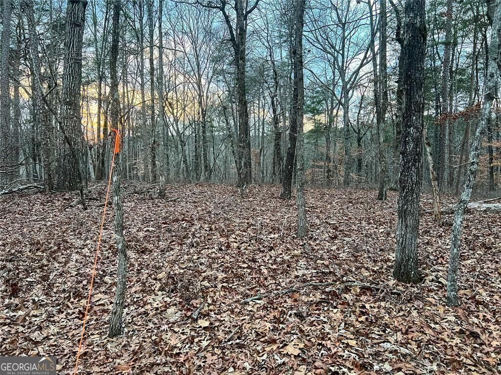 0ZZ Kelly Bridge Road Dawsonville GA 30534