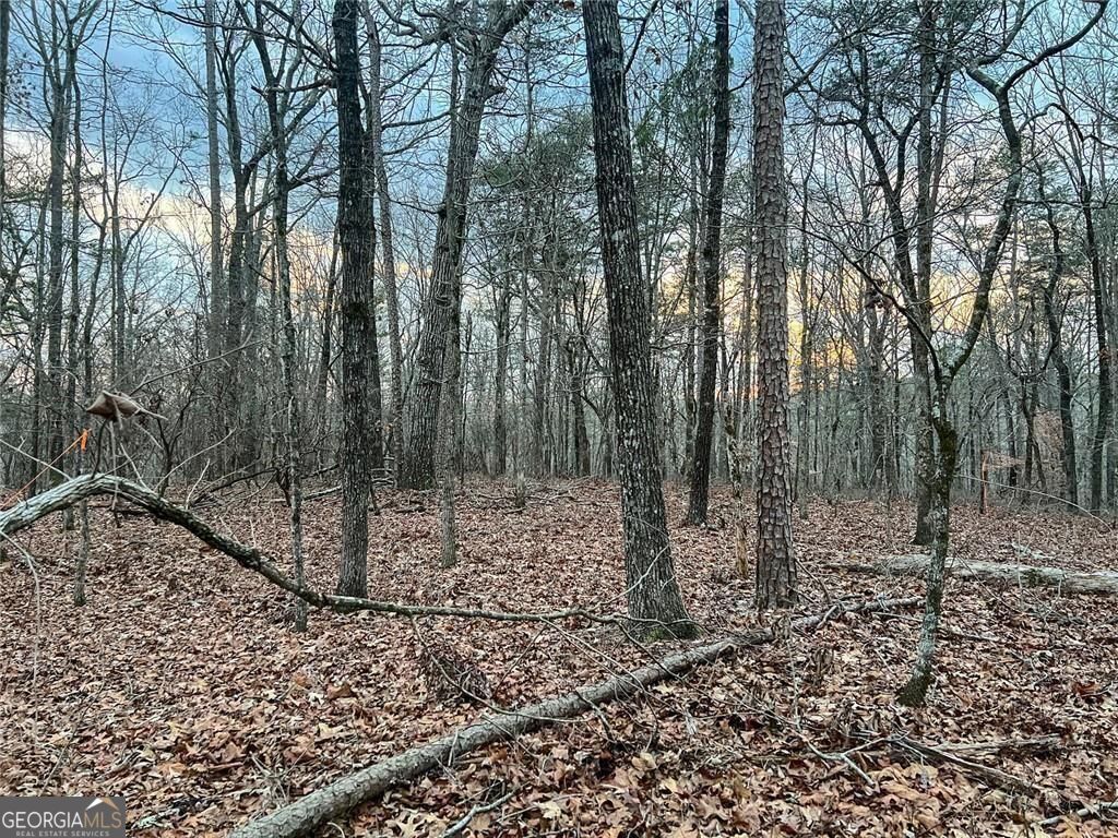 0ZZ Kelly Bridge Road Dawsonville GA 30534