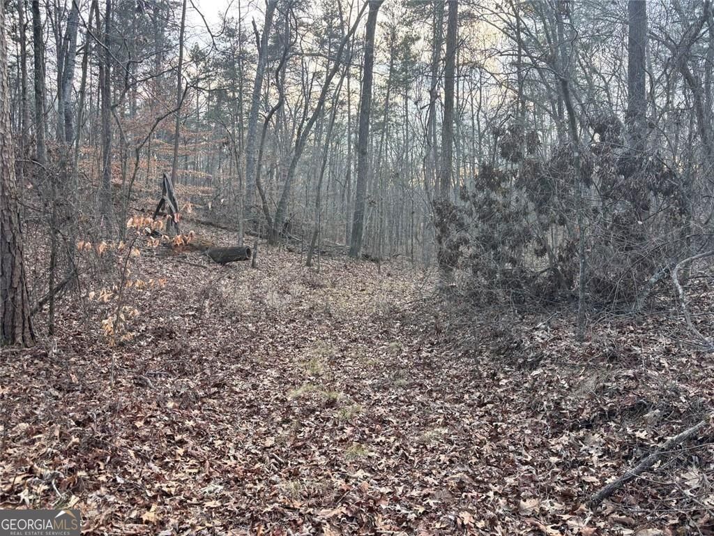 0ZZ Kelly Bridge Road Dawsonville GA 30534