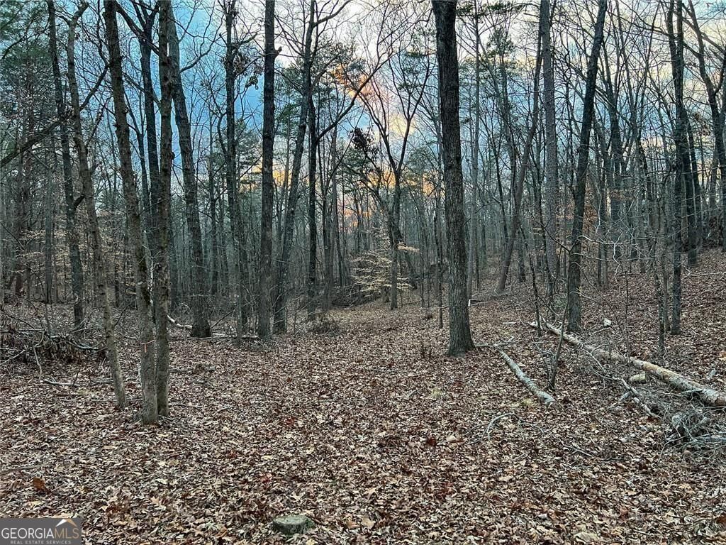 0ZZ Kelly Bridge Road Dawsonville GA 30534