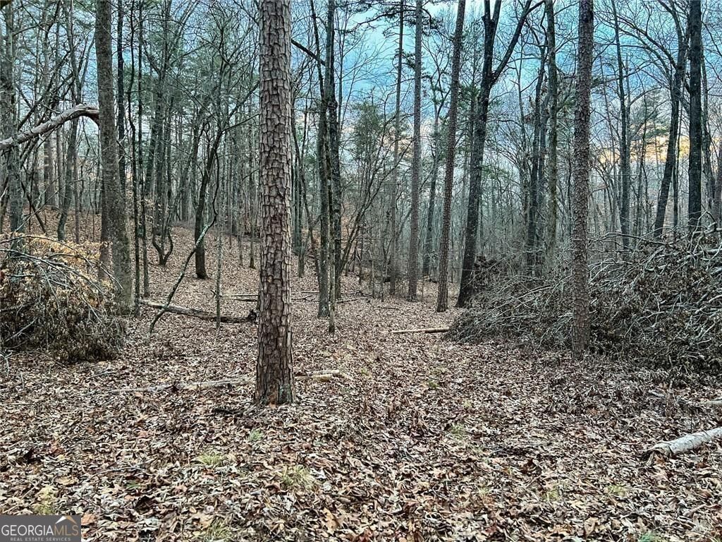 0ZZ Kelly Bridge Road Dawsonville GA 30534