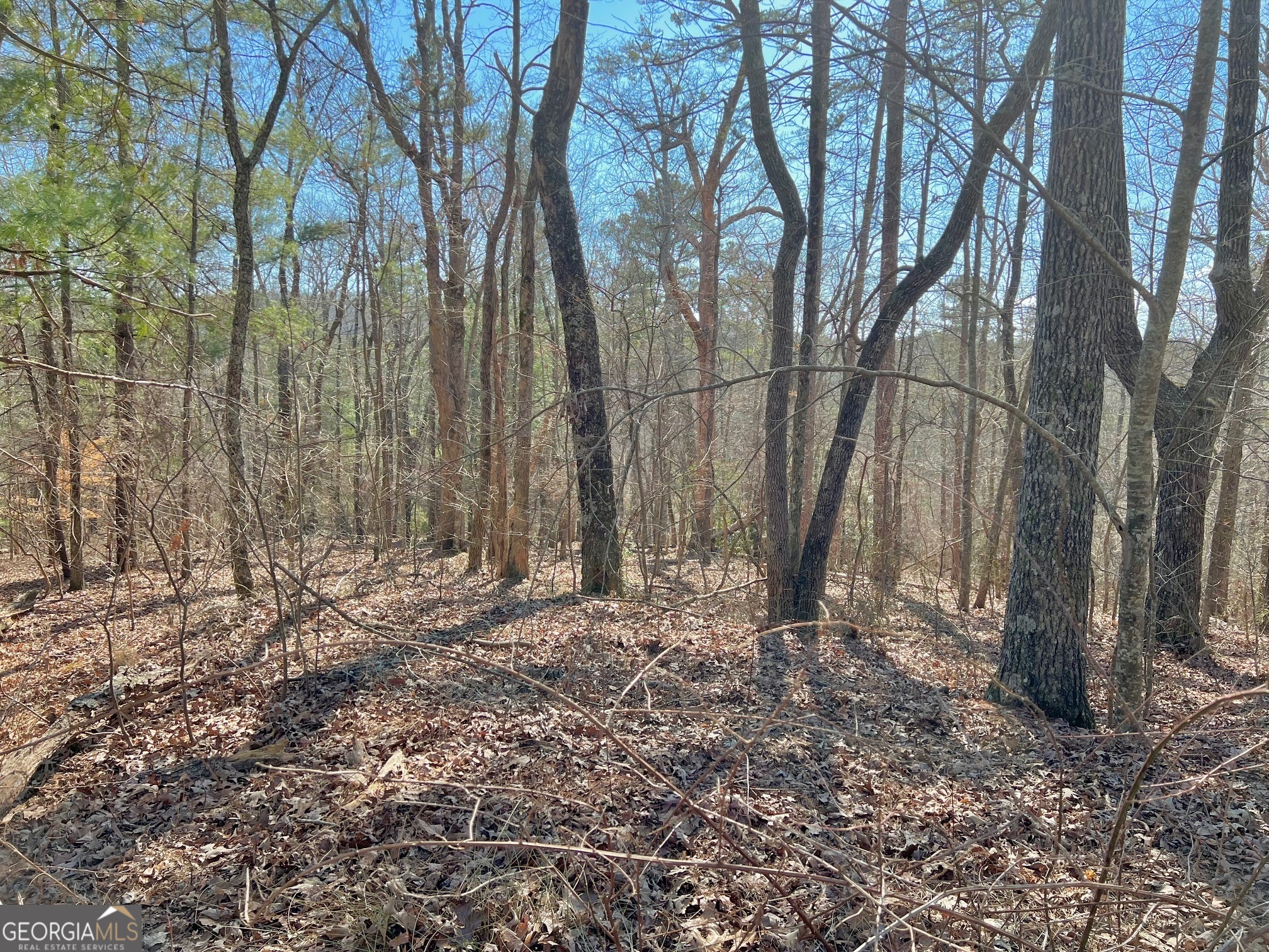 113 Beech Tree Drive Ellijay GA 30540