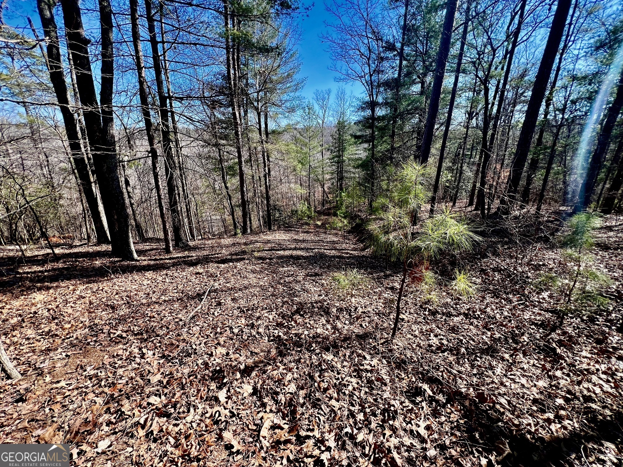 113 Beech Tree Drive Ellijay GA 30540