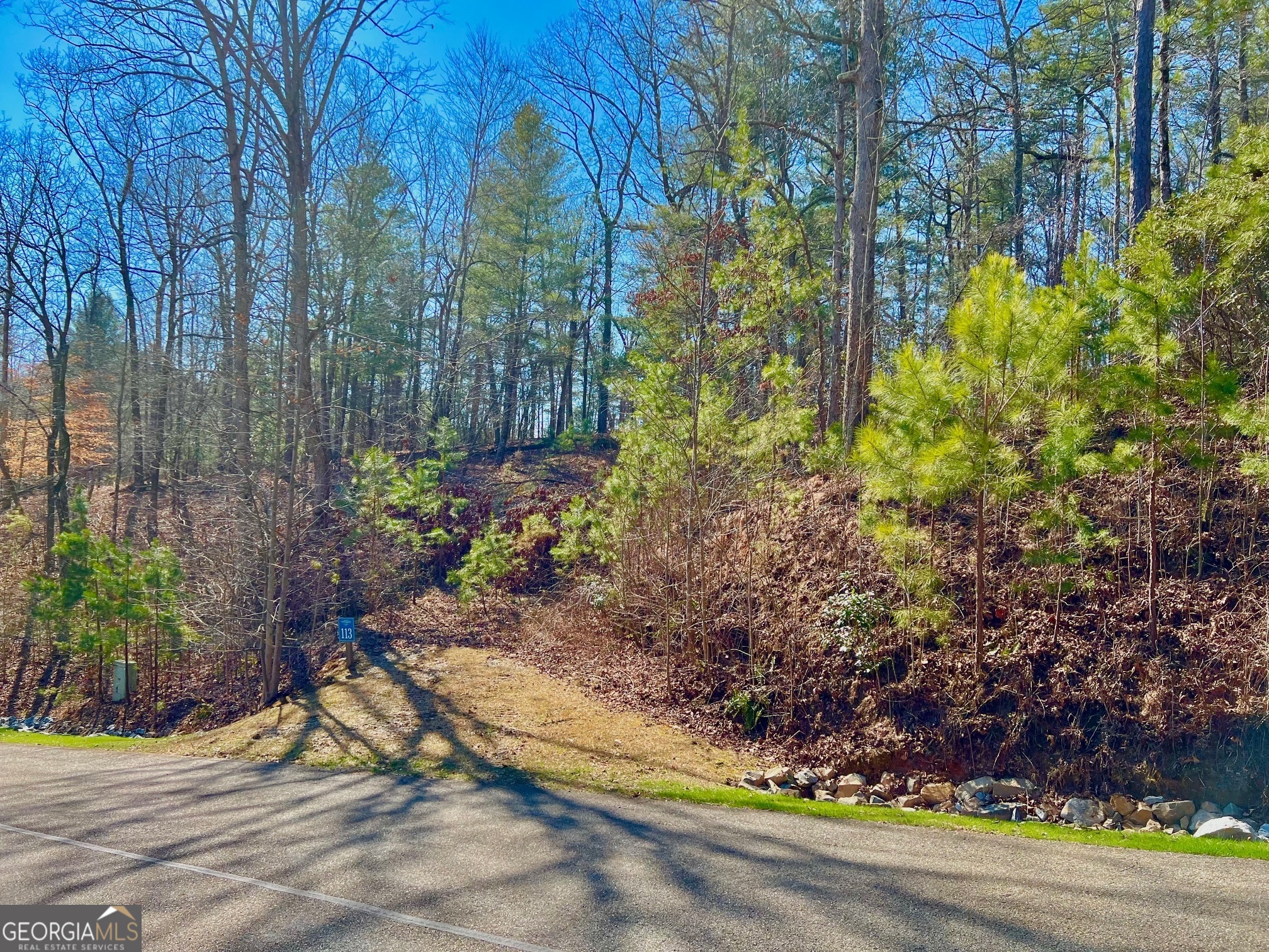 113 Beech Tree Drive Ellijay GA 30540