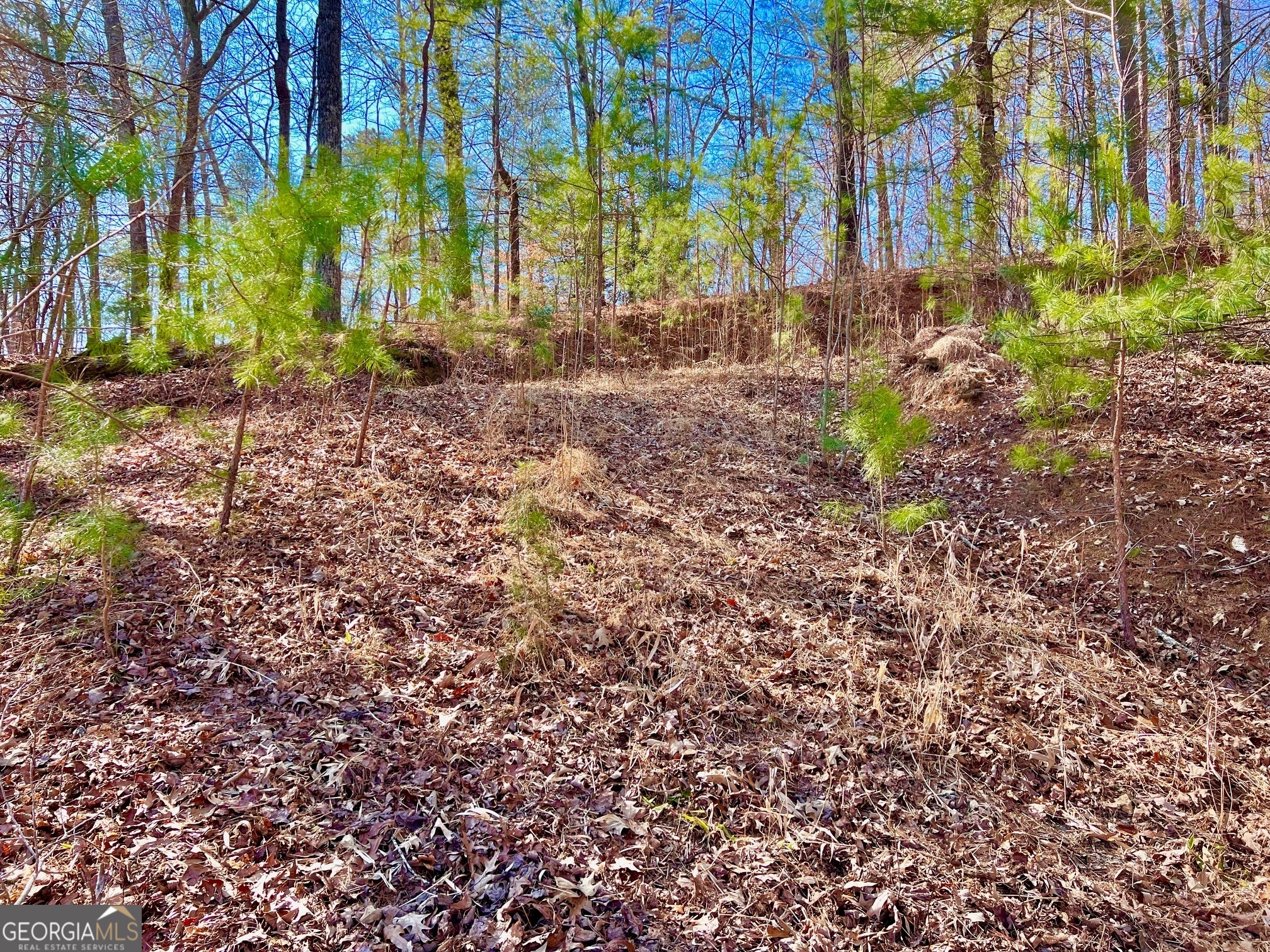 113 Beech Tree Drive Ellijay GA 30540