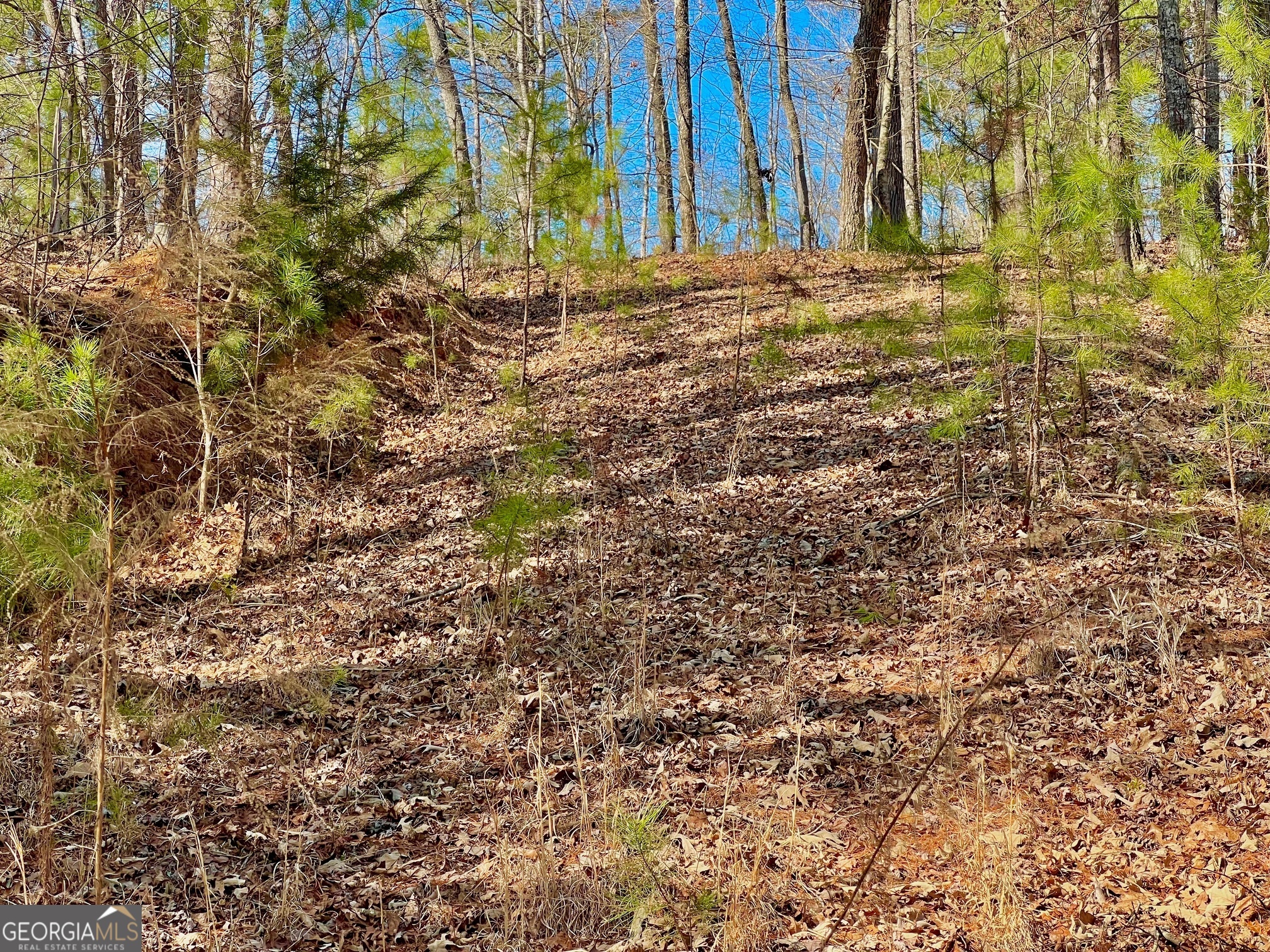 113 Beech Tree Drive Ellijay GA 30540