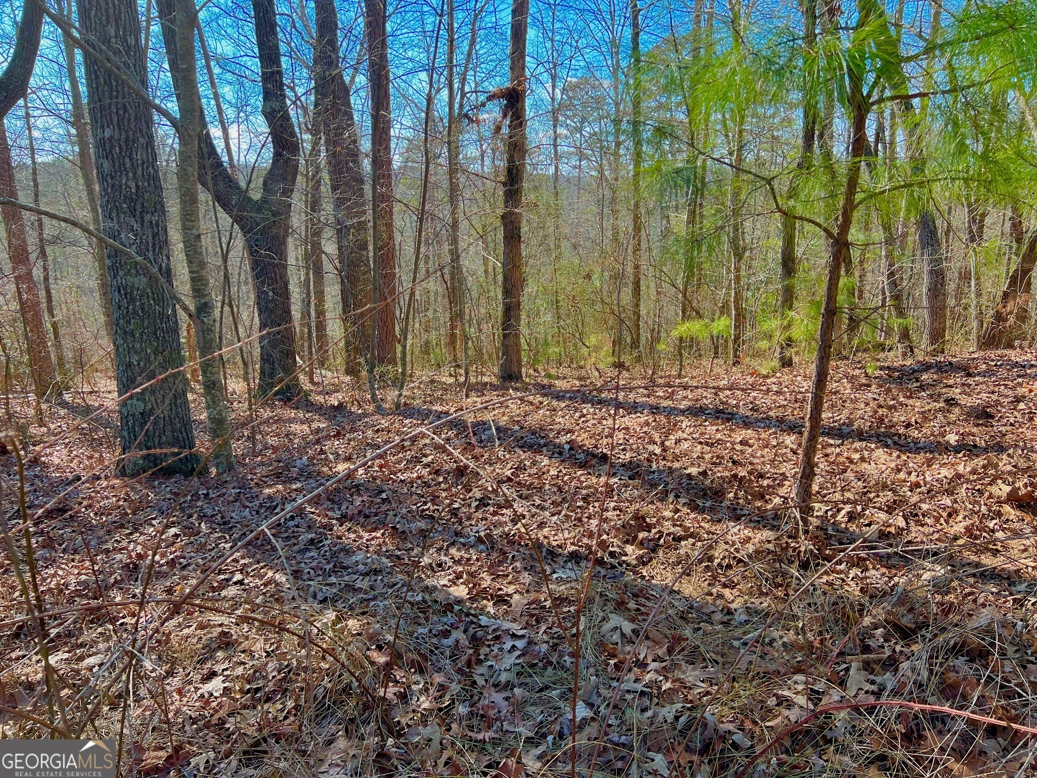 113 Beech Tree Drive Ellijay GA 30540