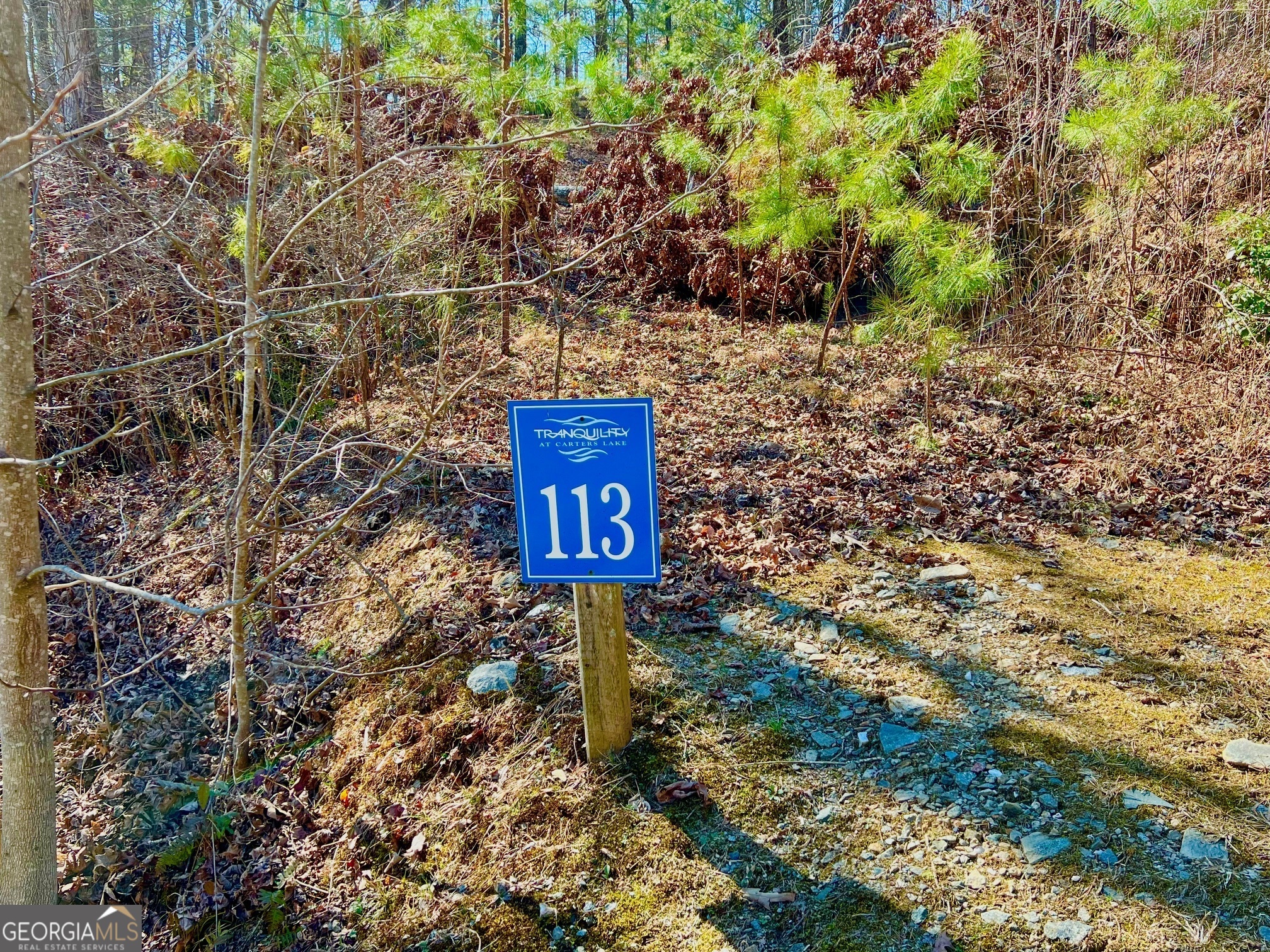 113 Beech Tree Drive Ellijay GA 30540