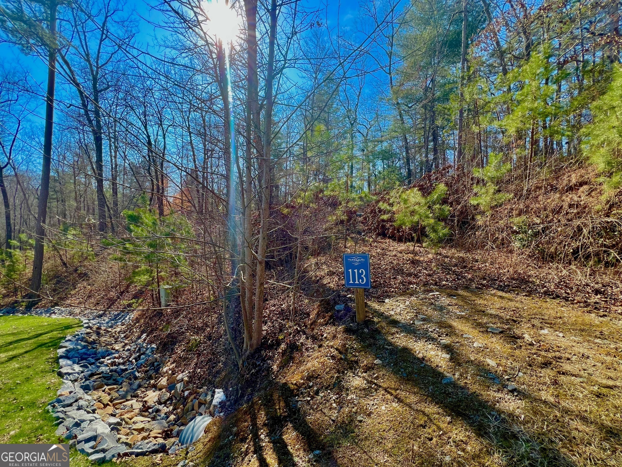 113 Beech Tree Drive Ellijay GA 30540