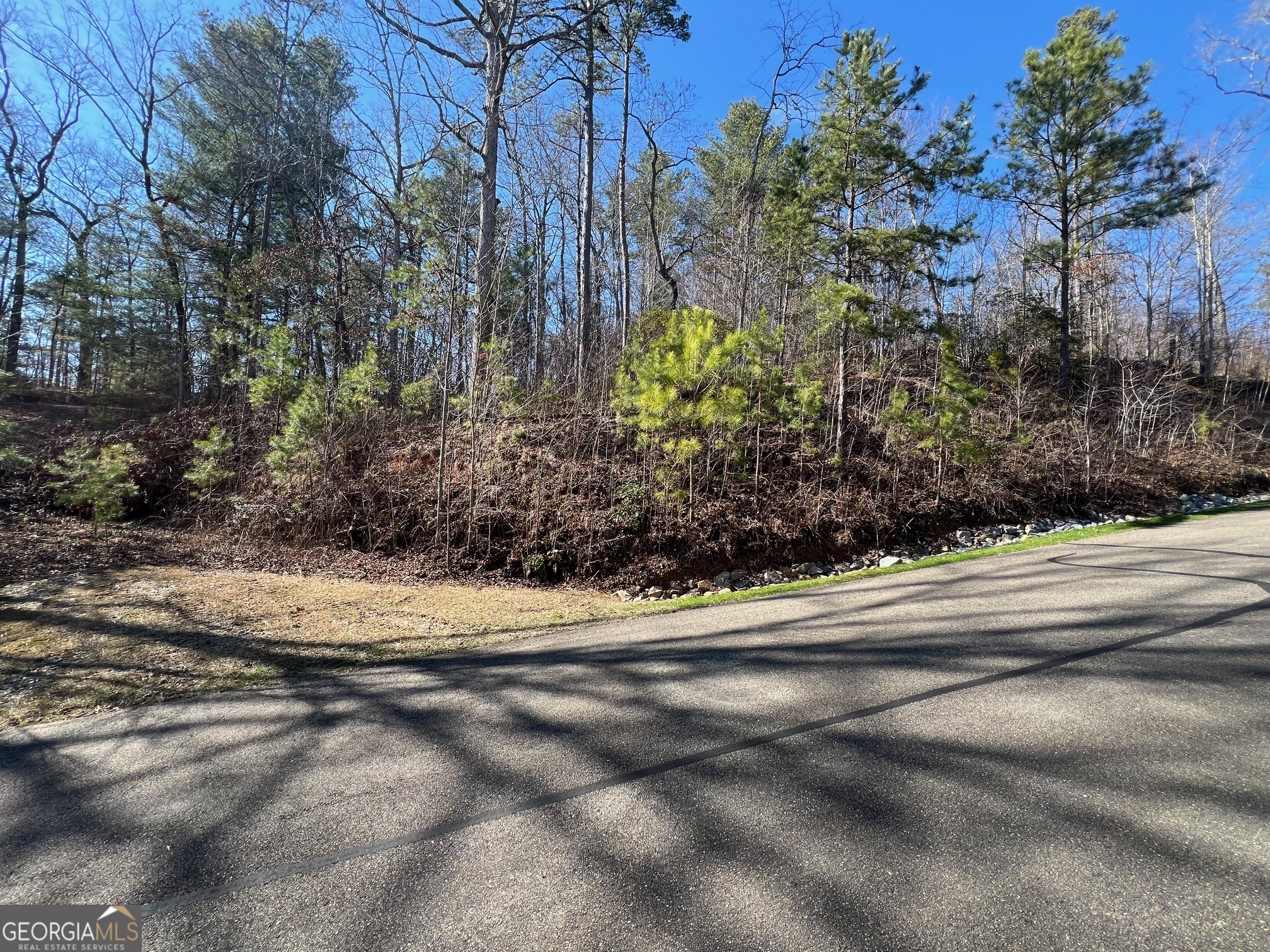113 Beech Tree Drive Ellijay GA 30540