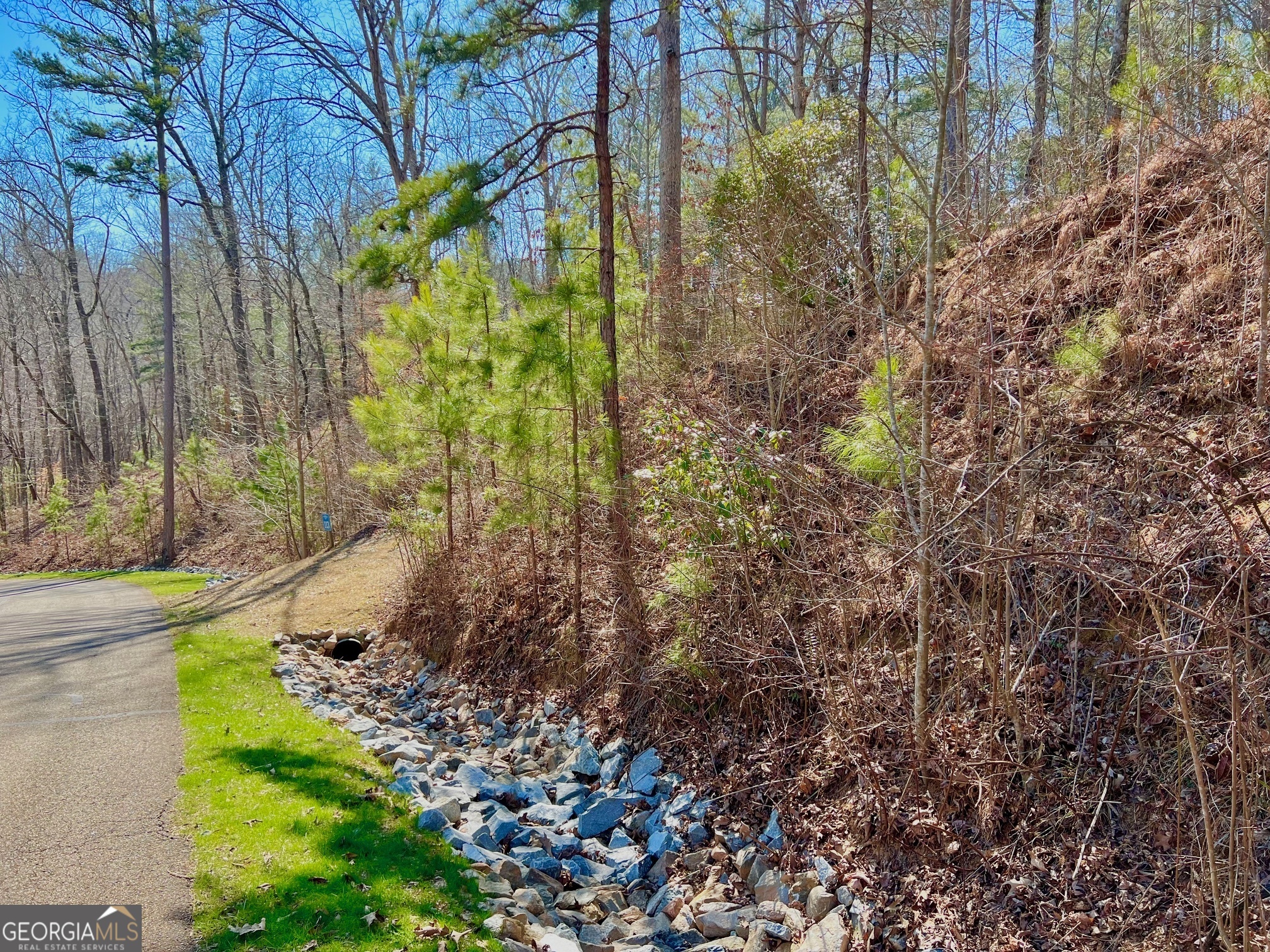 113 Beech Tree Drive Ellijay GA 30540