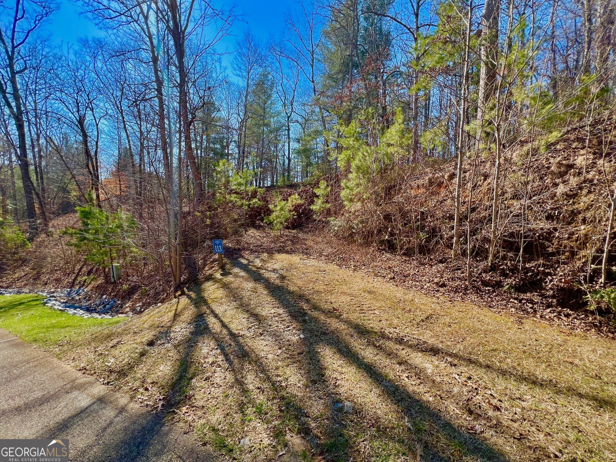 113 Beech Tree Drive Ellijay GA 30540