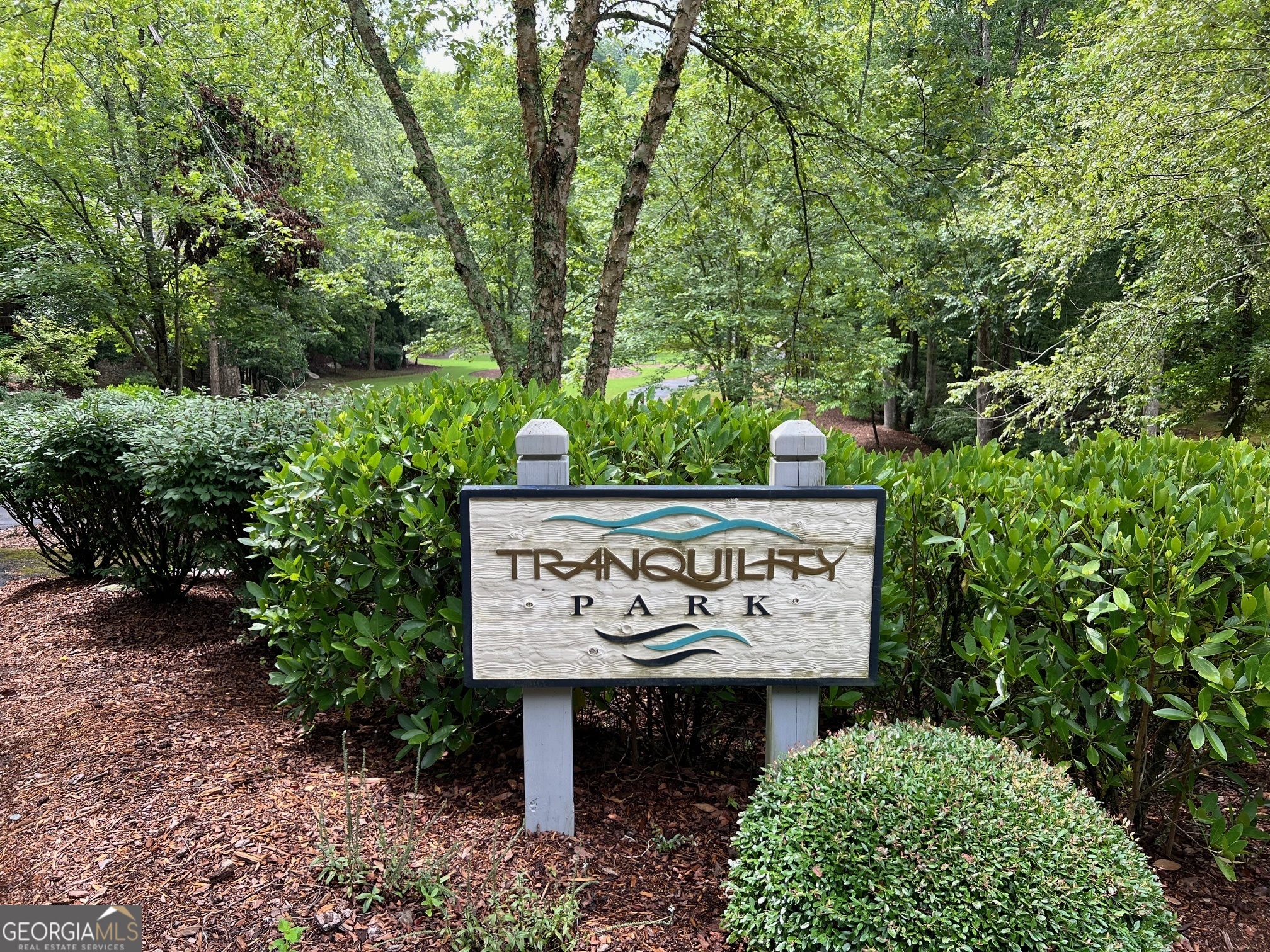 113 Beech Tree Drive Ellijay GA 30540