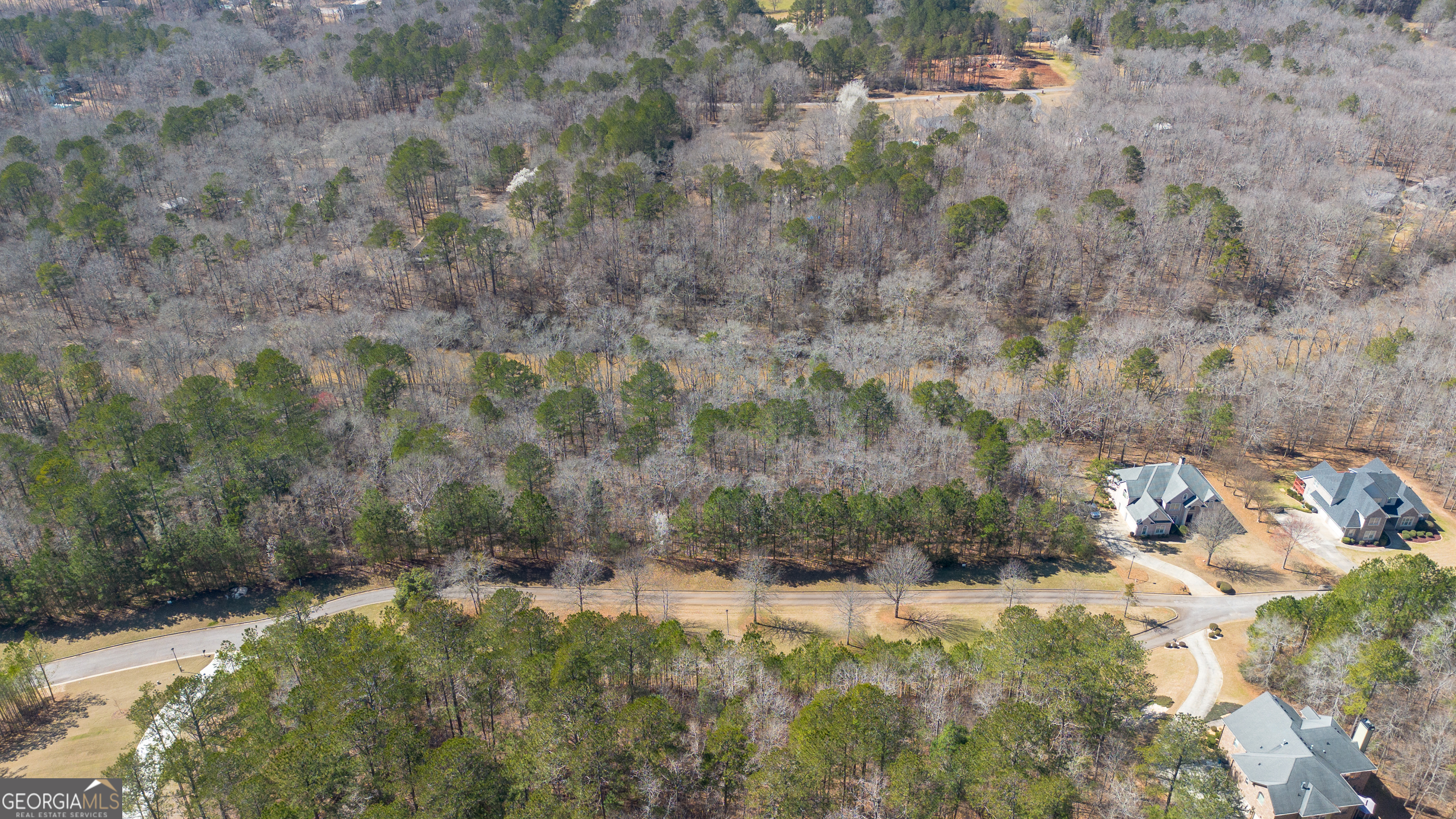 2063 Fontainbleau Drive Conyers GA 30094