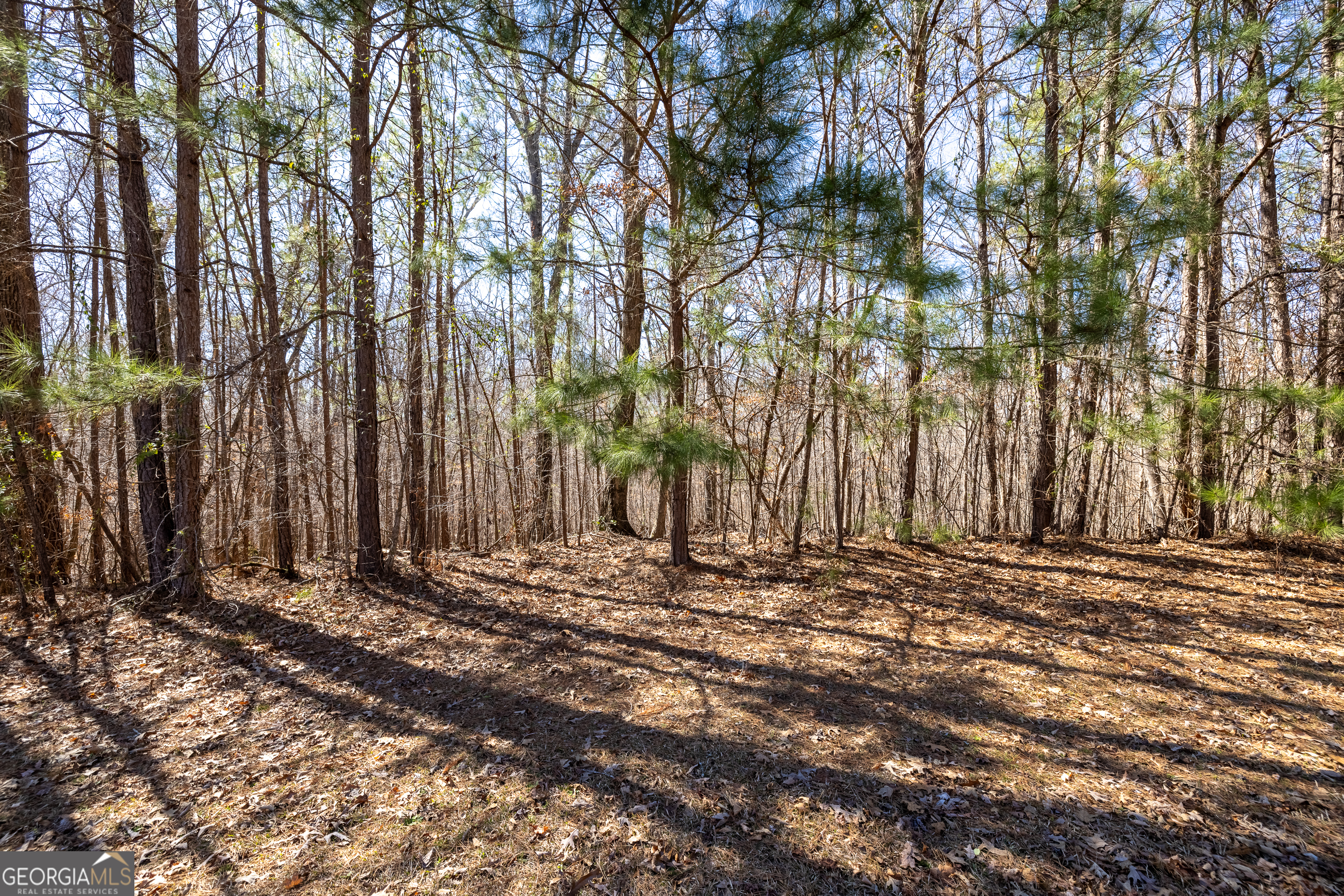2063 Fontainbleau Drive Conyers GA 30094