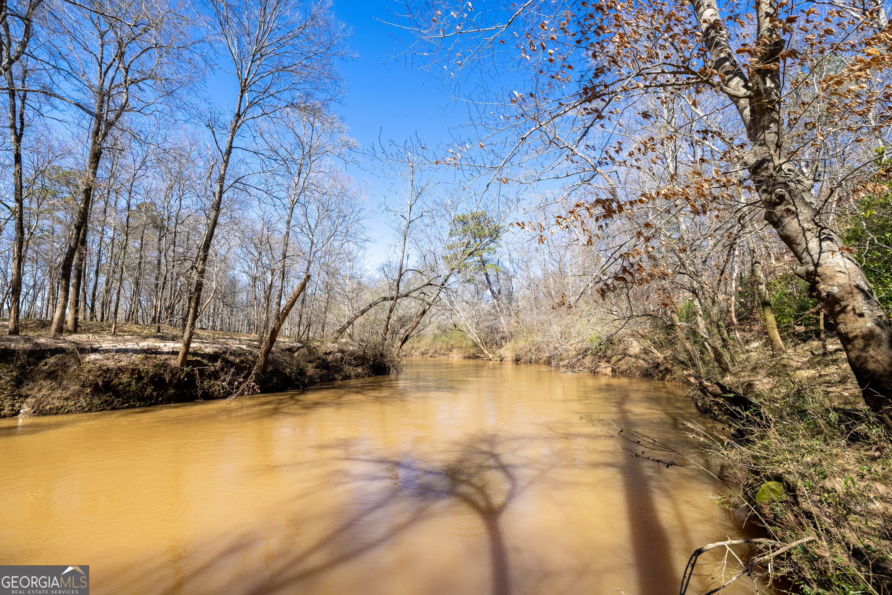 2063 Fontainbleau Drive Conyers GA 30094