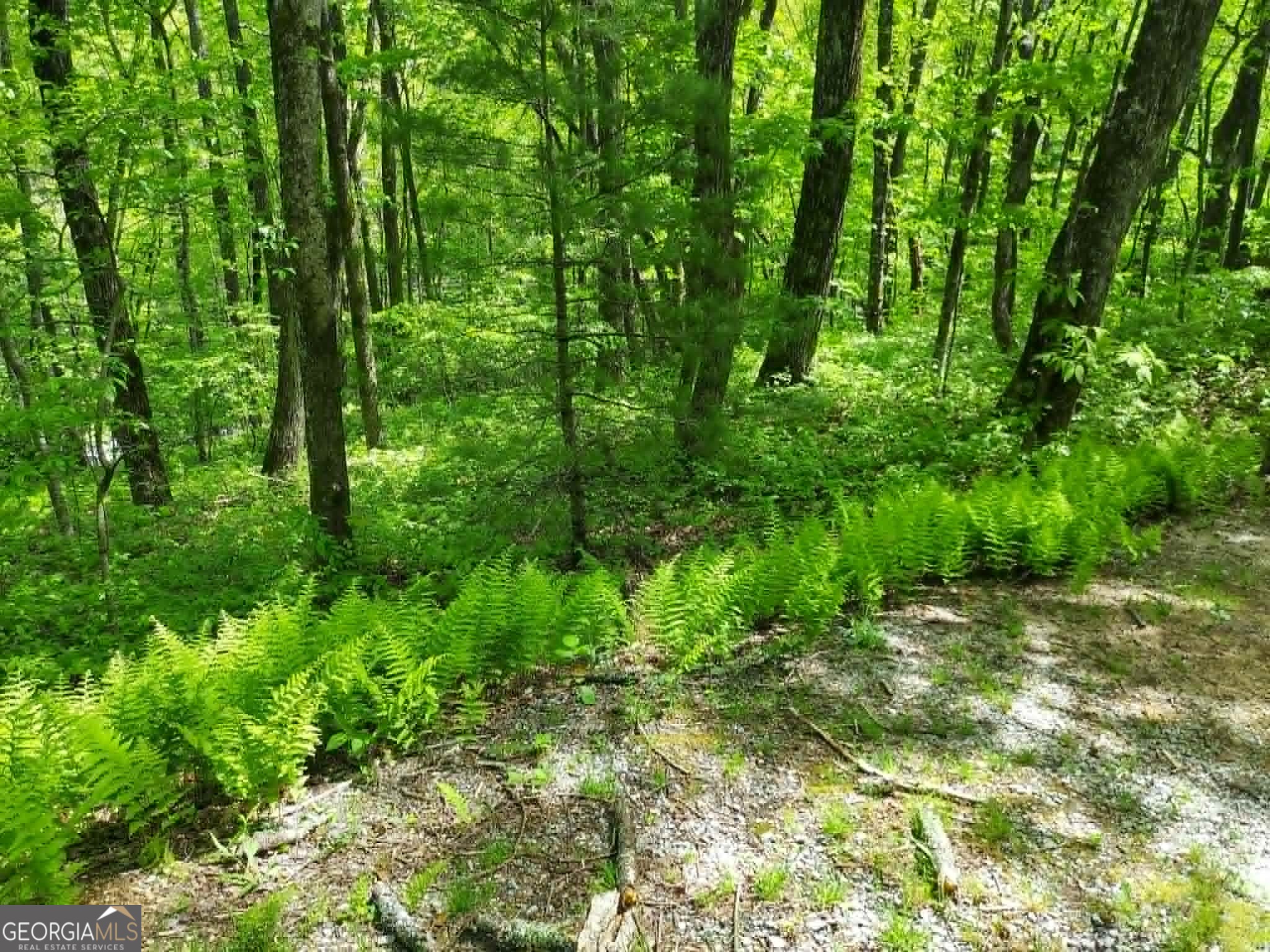 0 Lot 5 Rebel Circle Sky Valley GA 30537