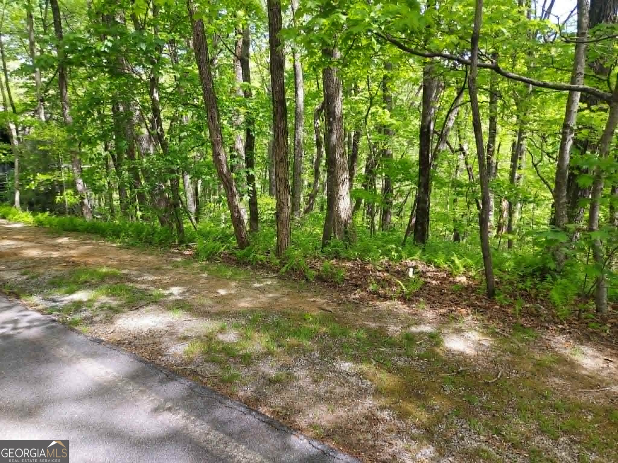 0 Lot 5 Rebel Circle Sky Valley GA 30537